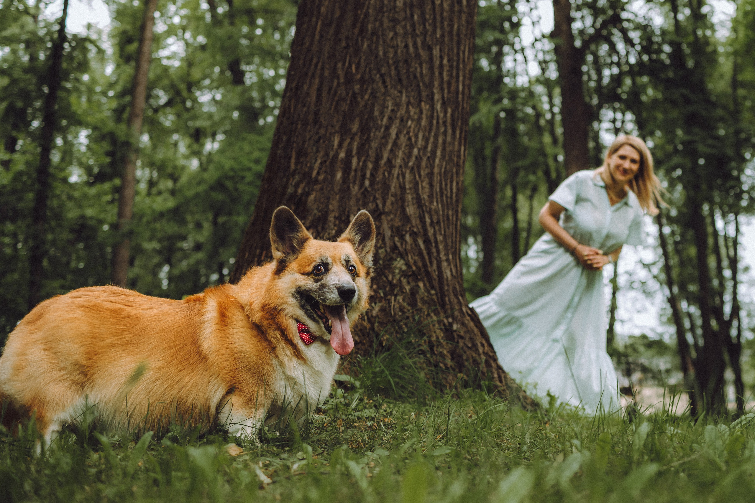 Ира, Леша и Харли