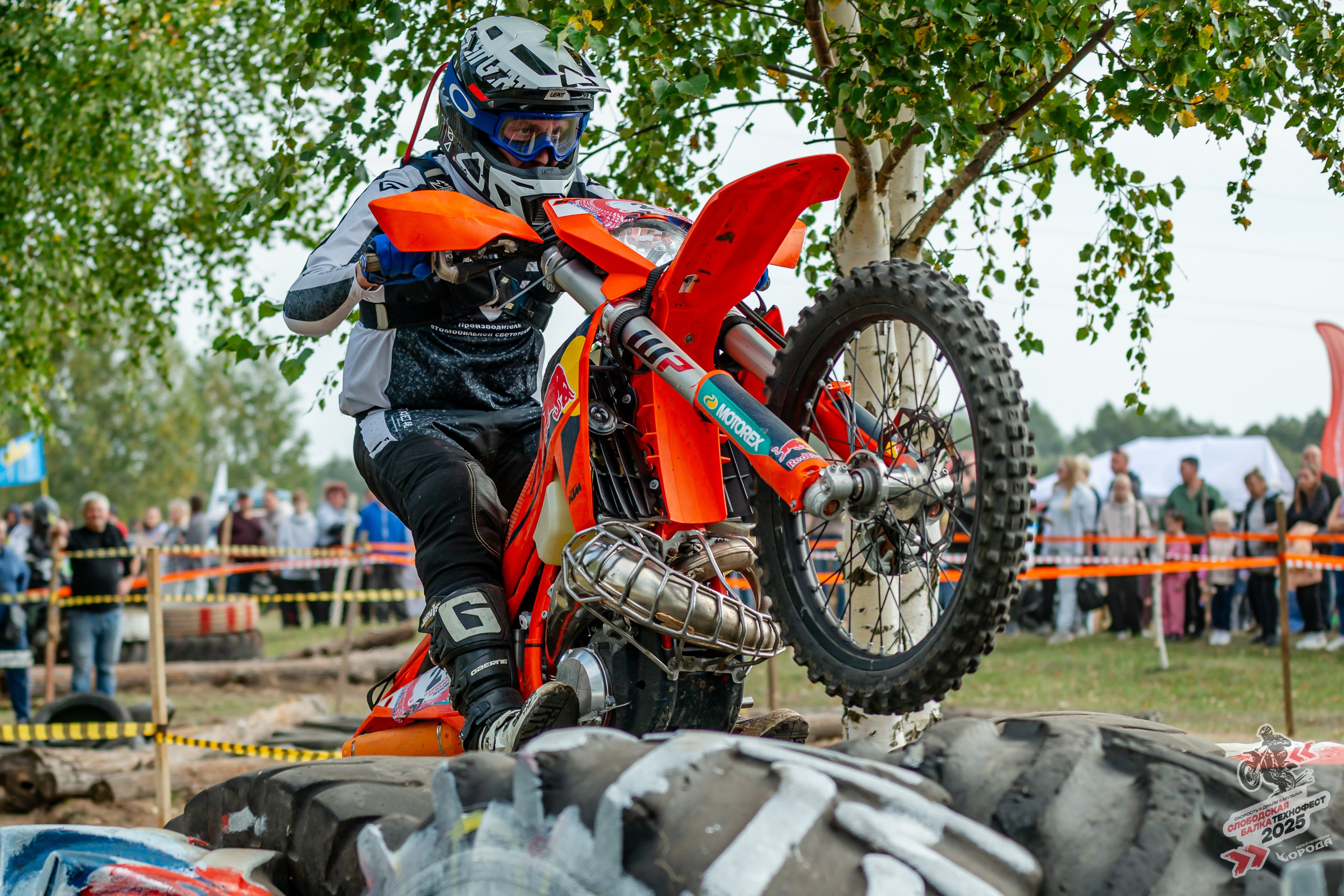 Слободская балка 2025. Фотограф | Макс Борода