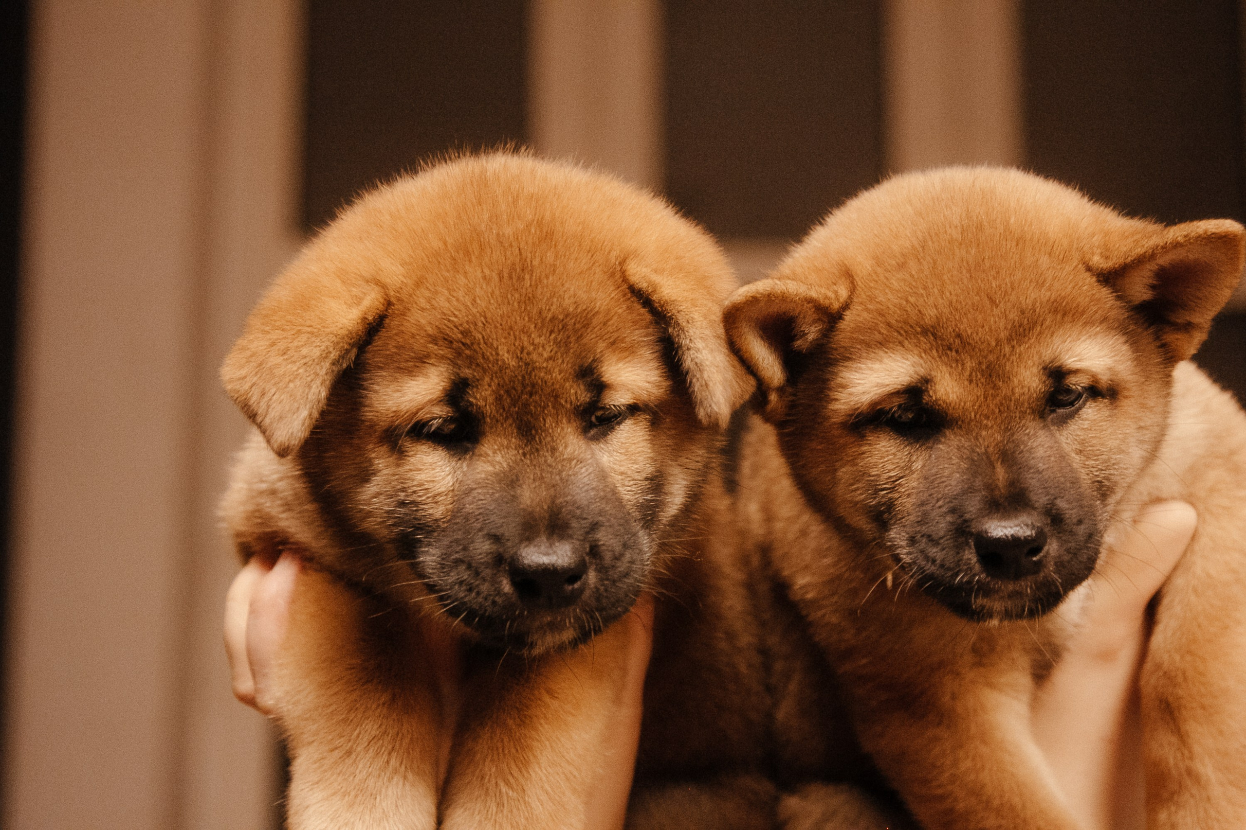 LOVE. Семейный фотограф Казань Никита Федин