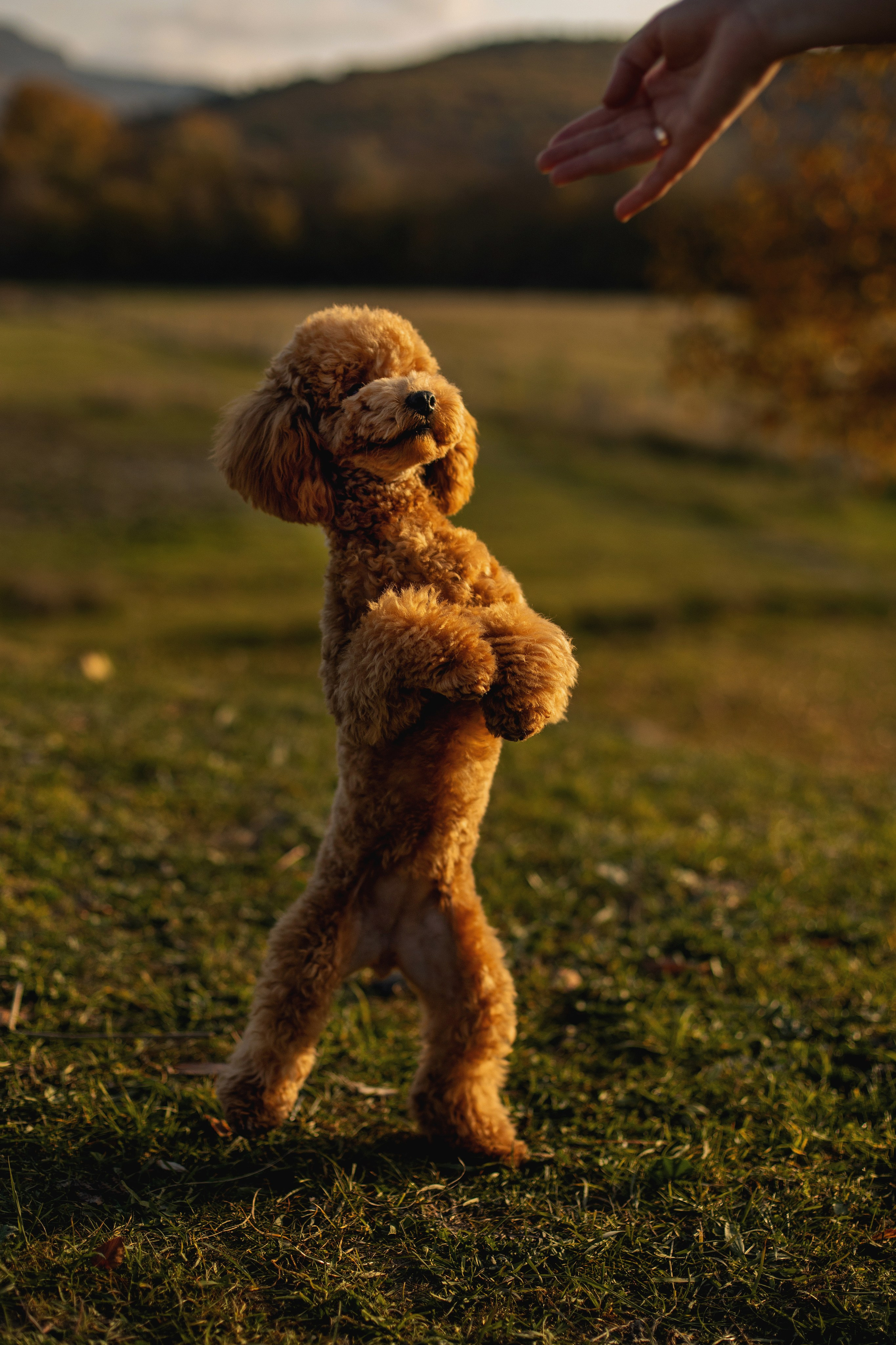 Артём и Анастасия