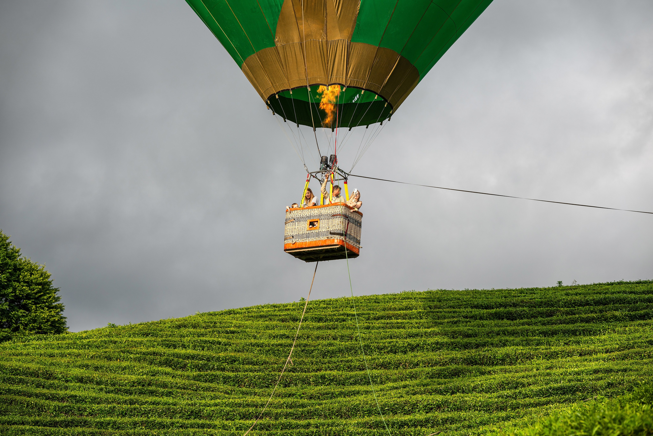 Фотограф на праздник Сочи. Фотограф Сочи