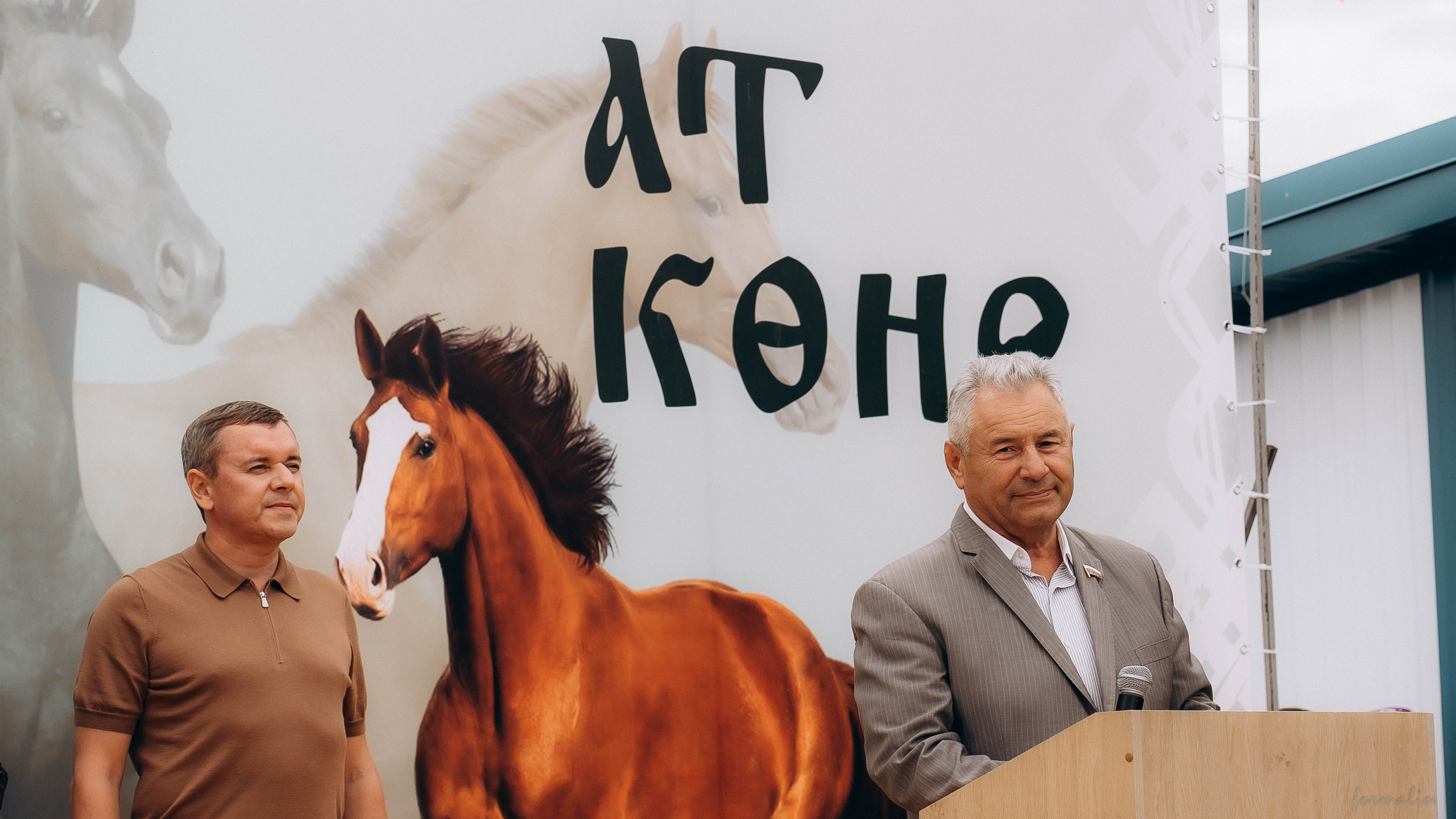 День Коня. Алиса Никитцова | Фотограф в Казани