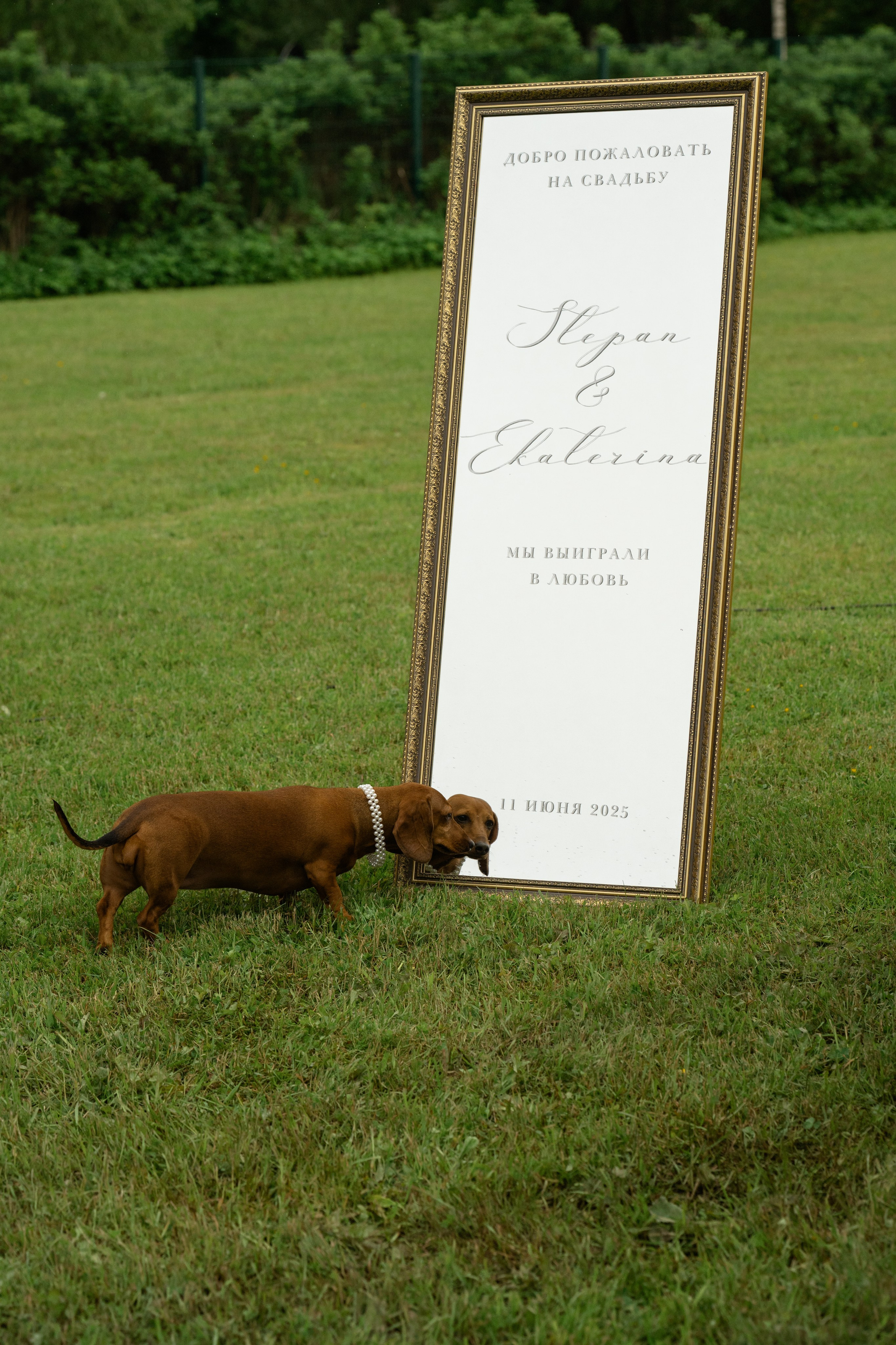 Мы выиграли в любовь. Свадебный фотограф в Санкт-Петербурге, Москве, СПб Сергей Поддубный