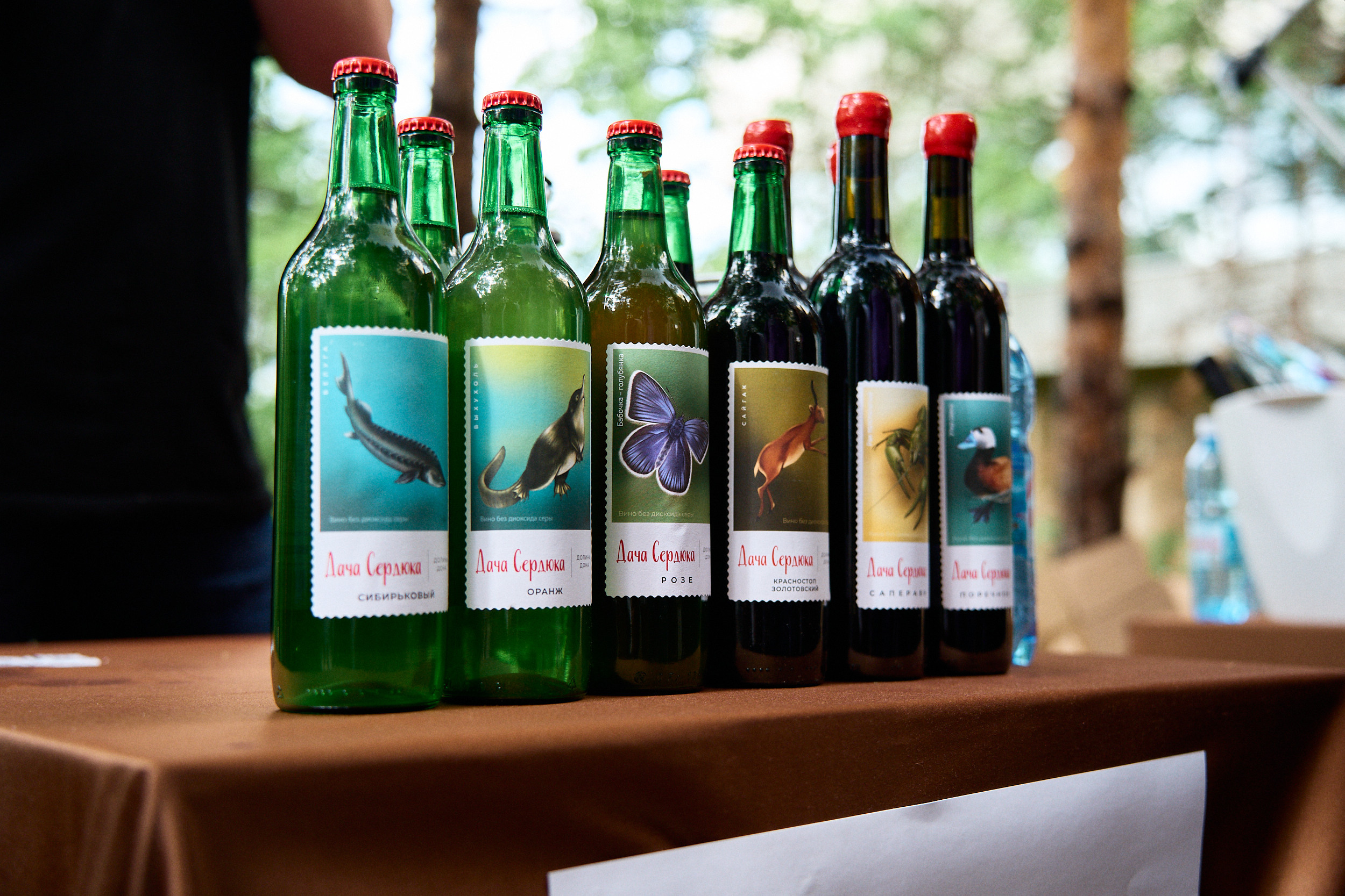 Фестиваль Российского вина. Фотограф в Хабаровске