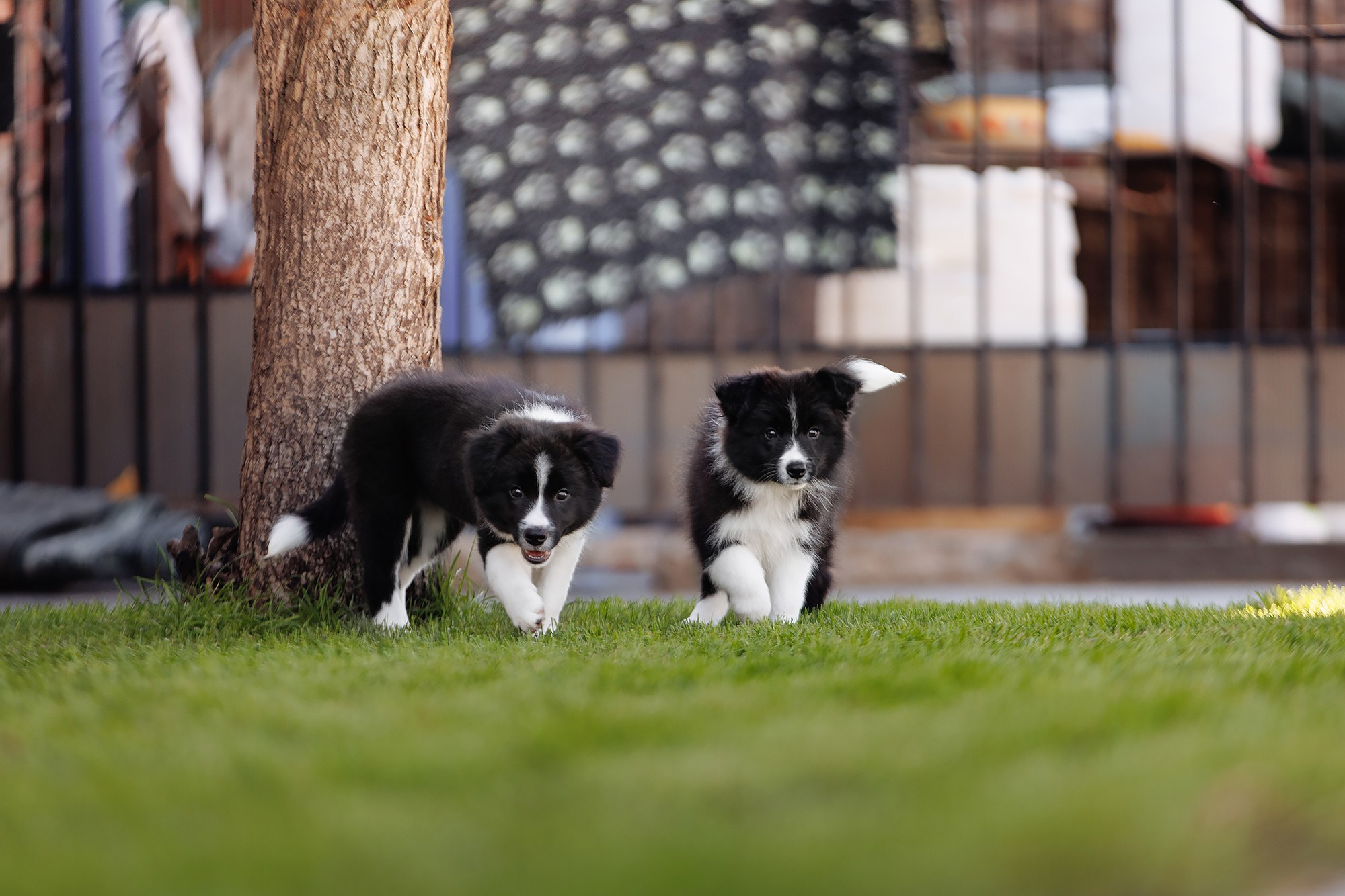 Трава у дома. О нас