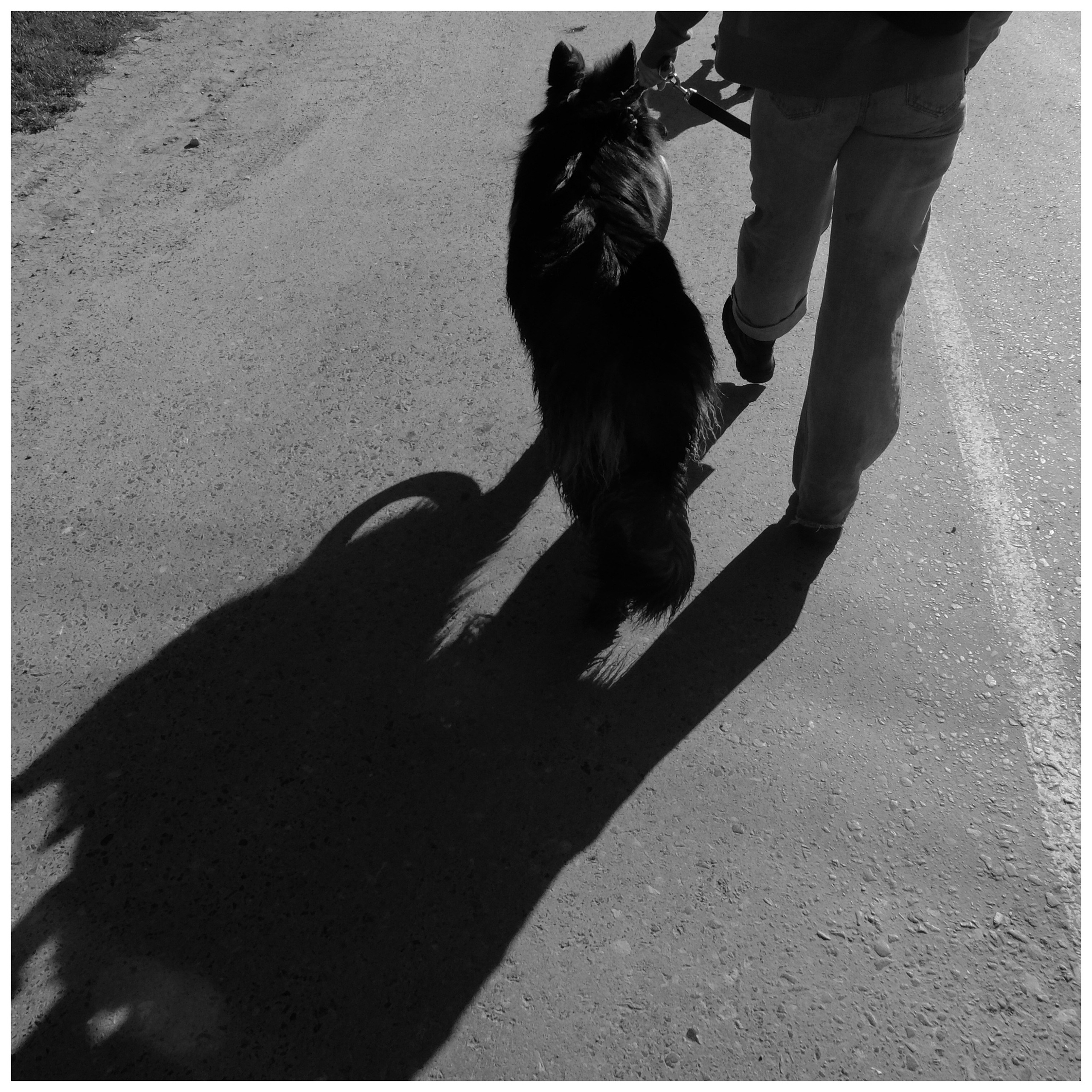 Промежуточные моменты (2022)