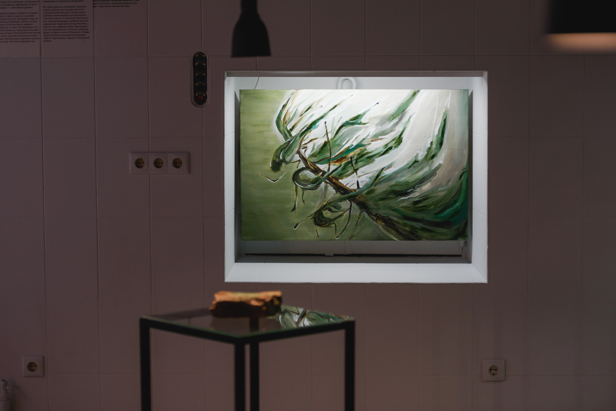 Выставки. Фотограф Руслан Хафизов