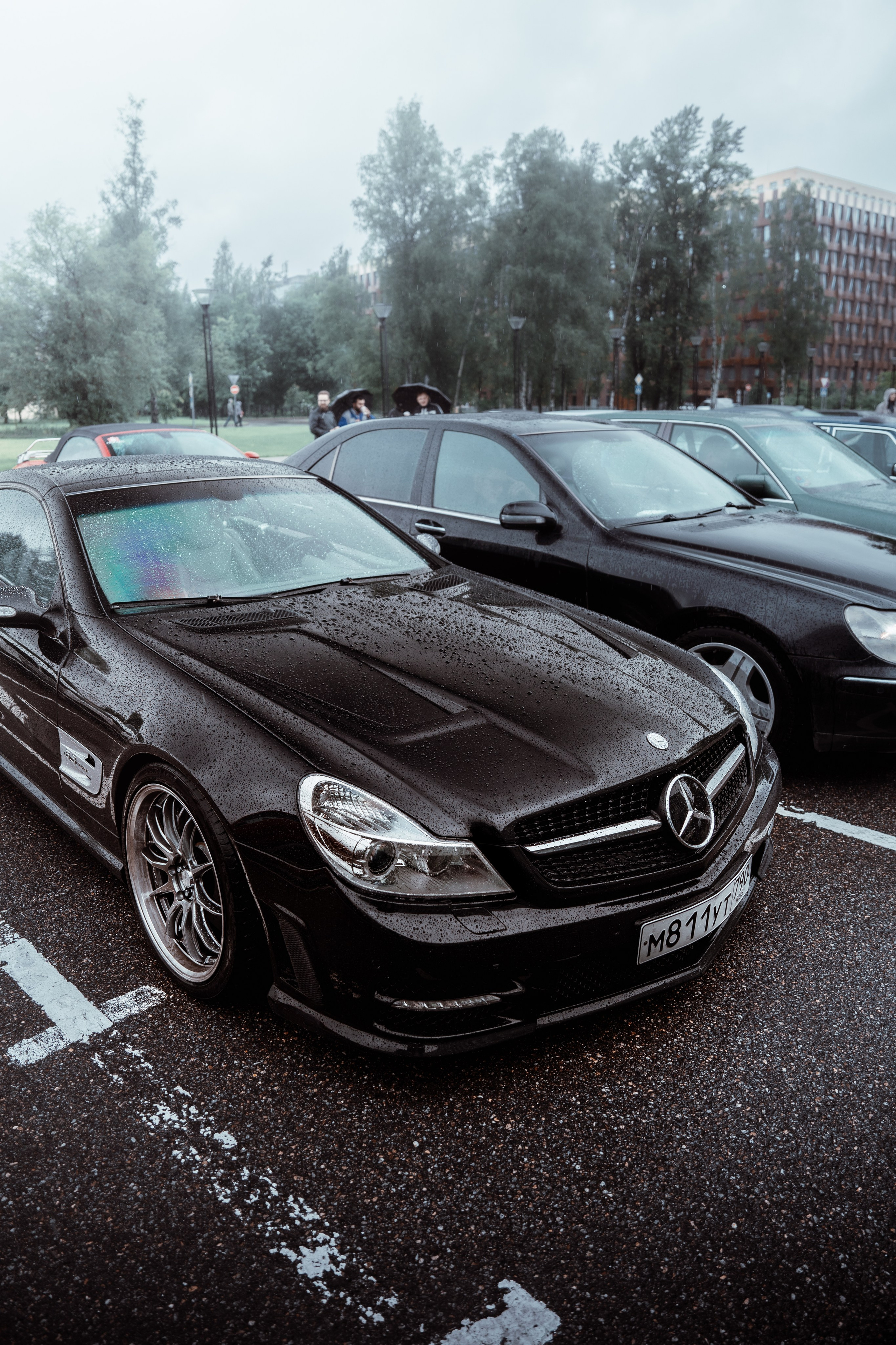 BENZ CLASSIC PICNIC. АВТОСПОРТИВНЫЙ ФОТОГРАФ