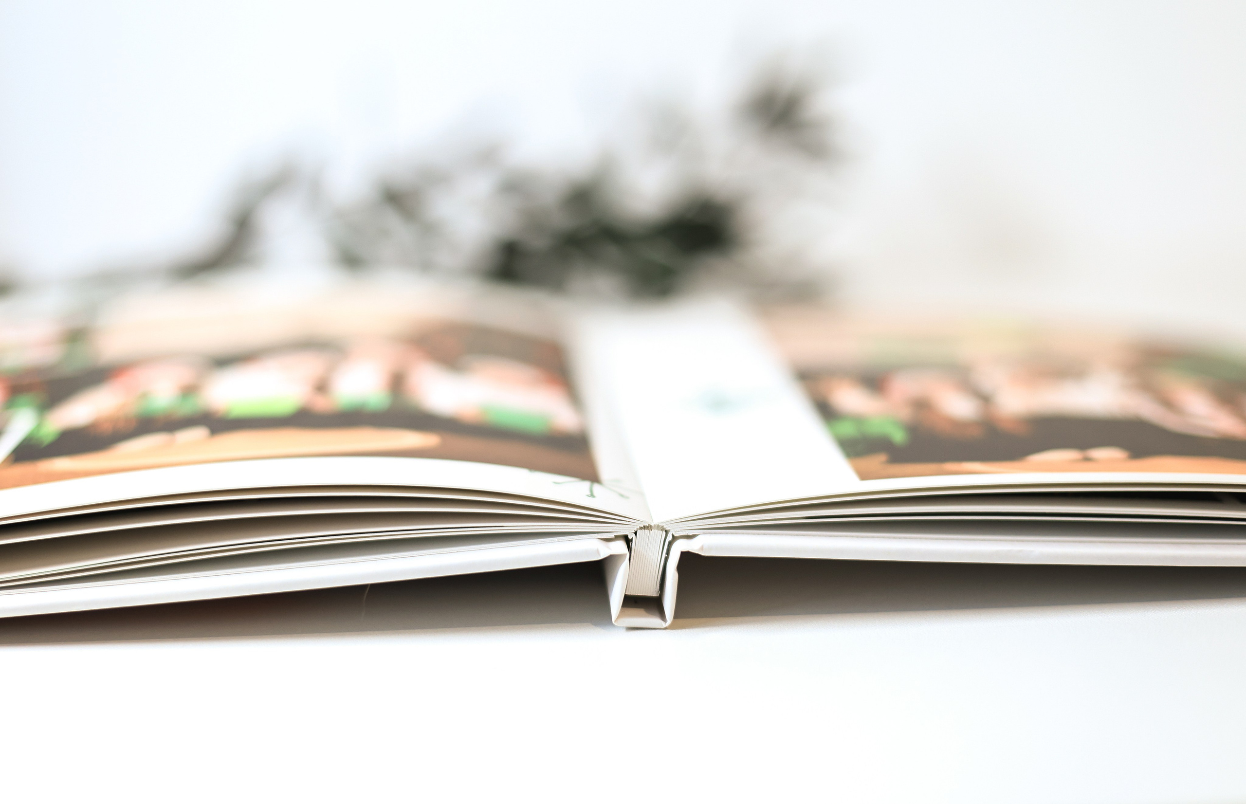 Книги Фотодом. Семейный фотограф Дарья Дзюбинская Раевская Анапа Новороссийск