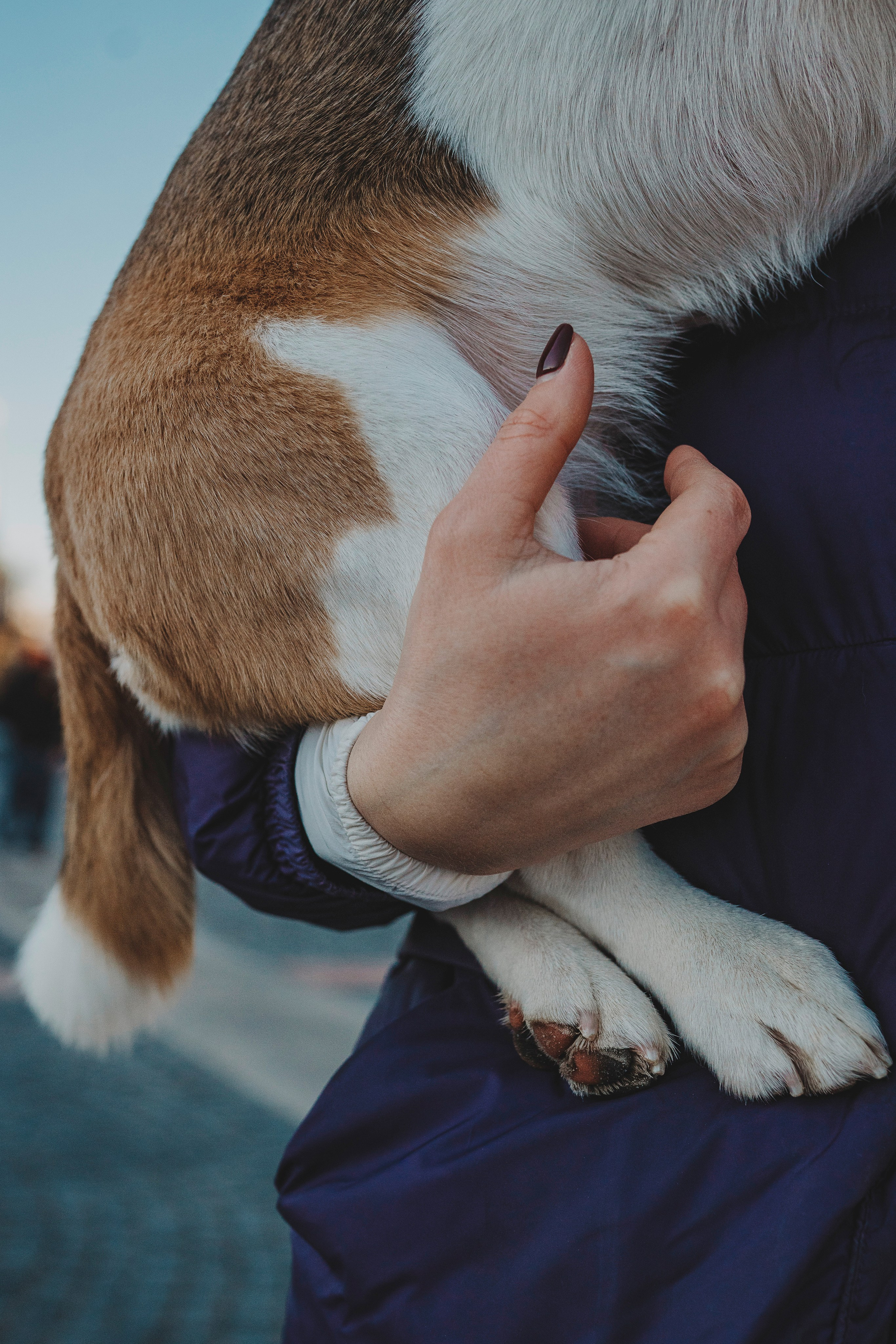 Ксения и Гаечка. Фотограф анималист в Спб недорого Олеся Майорова