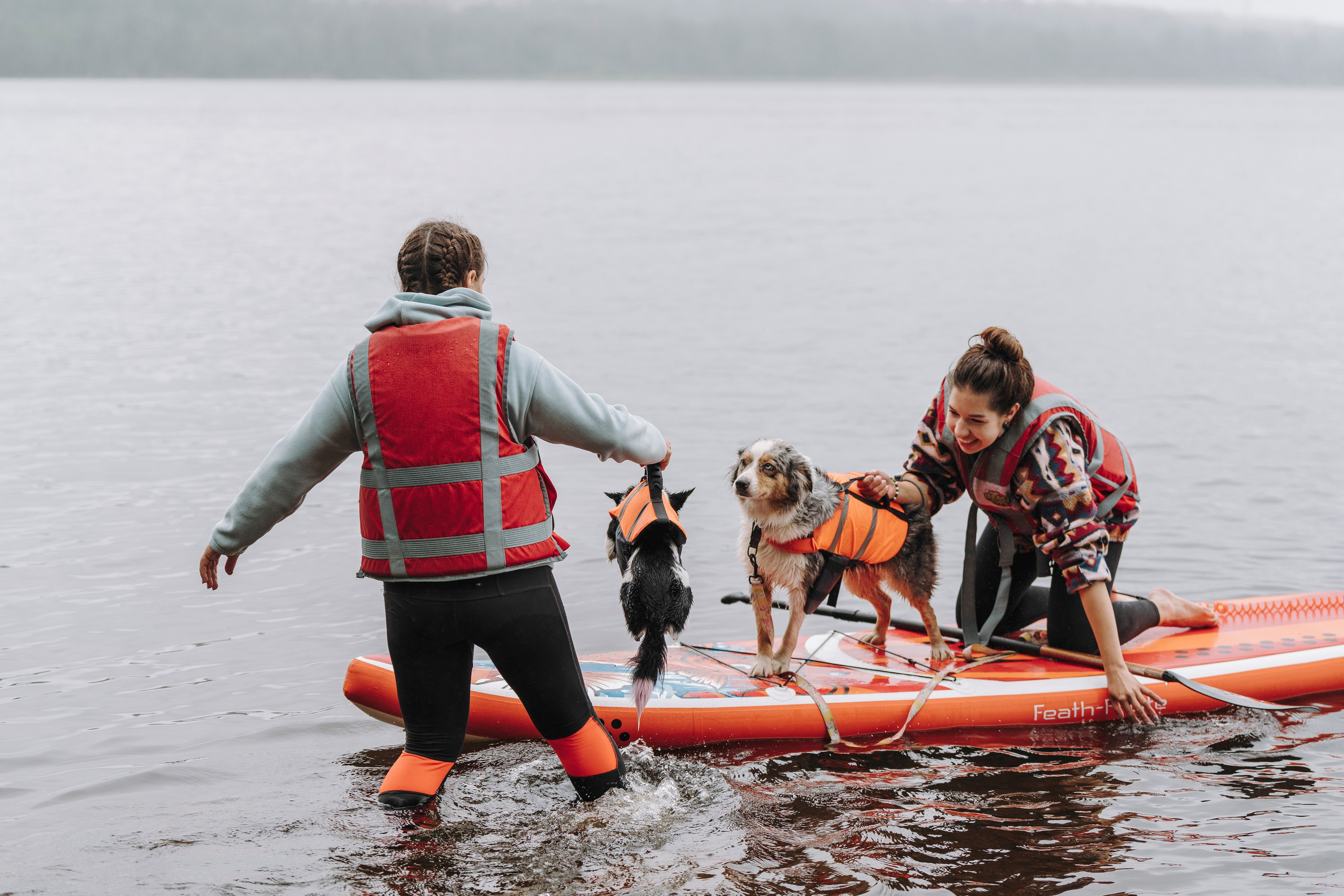 Катание на сапах с собаками. Фотограф анималист в Спб недорого Олеся Майорова