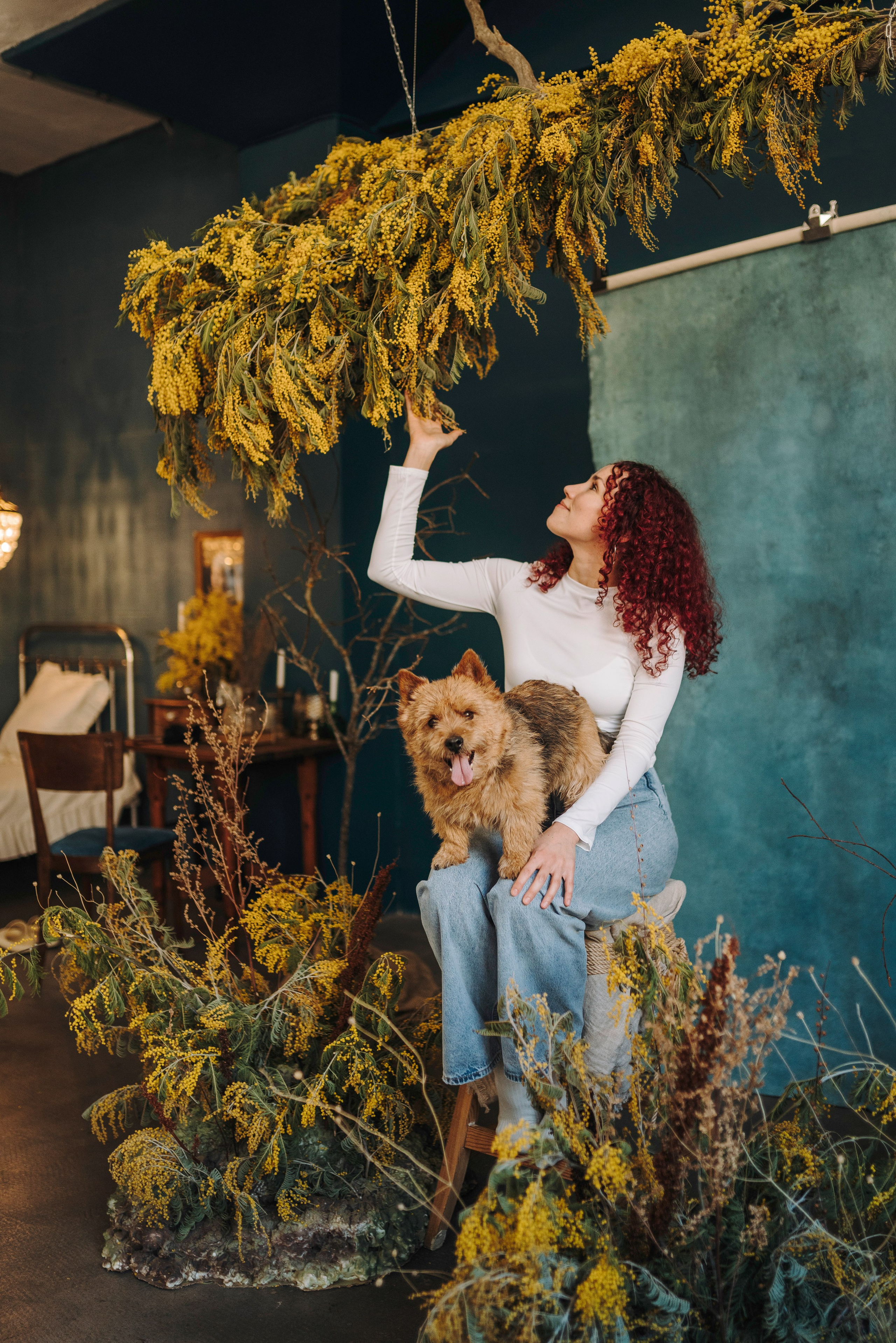 Маша и Рамси. Фотограф анималист в Спб недорого Олеся Майорова