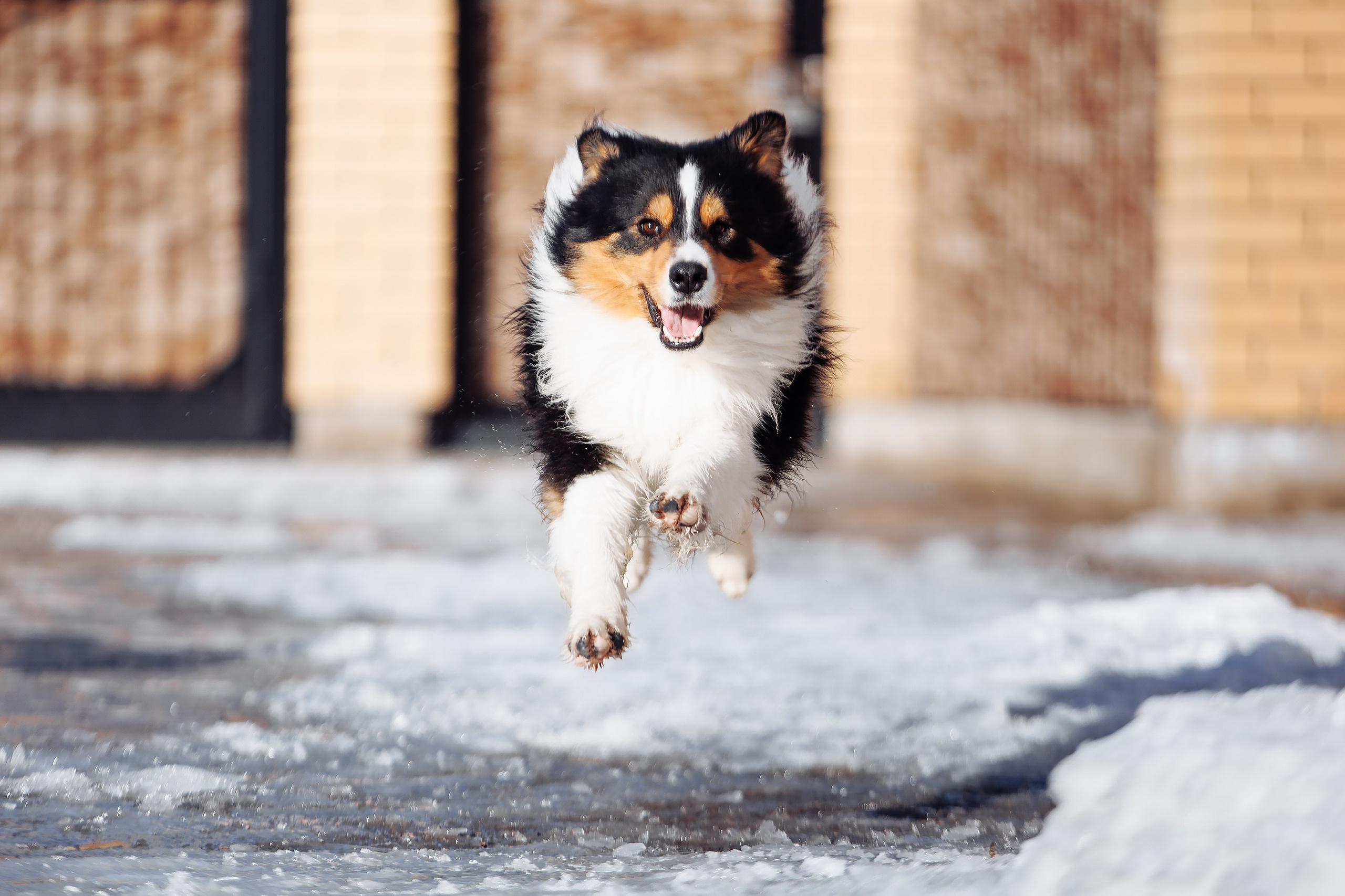 Пока таяло. О нас