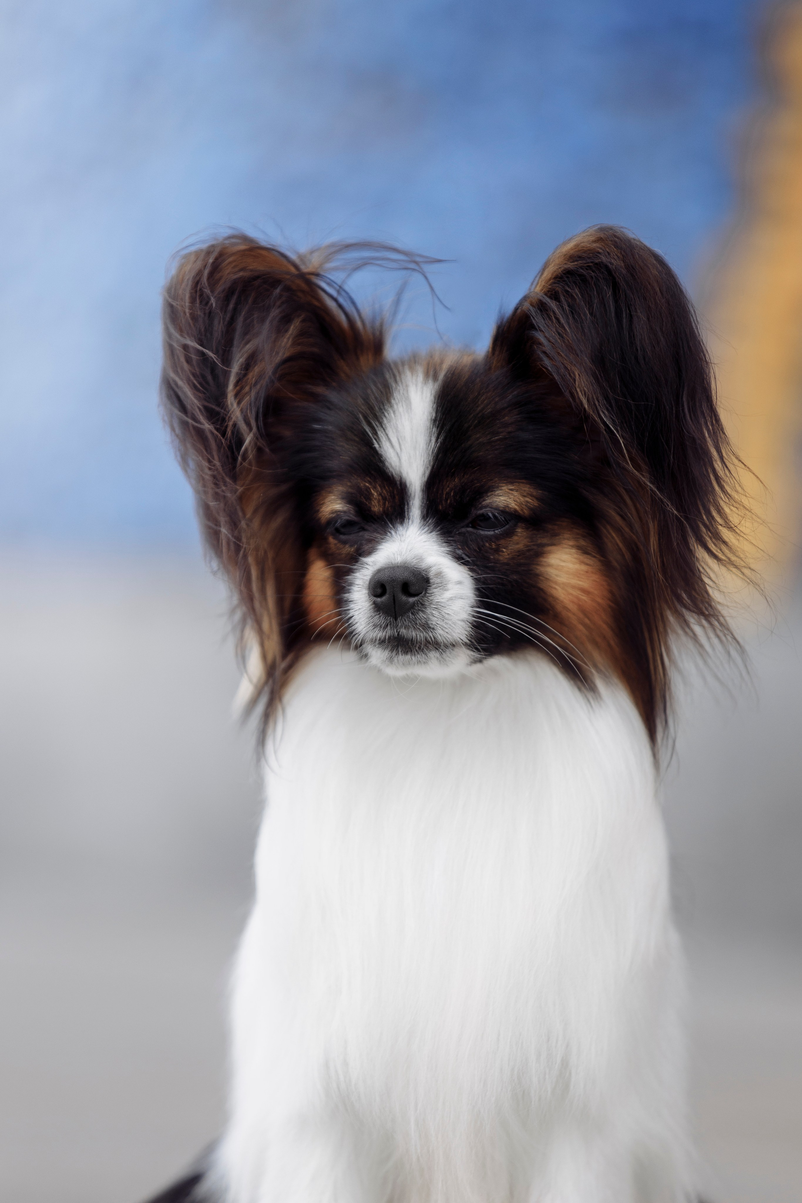 Магнитка 22. О нас