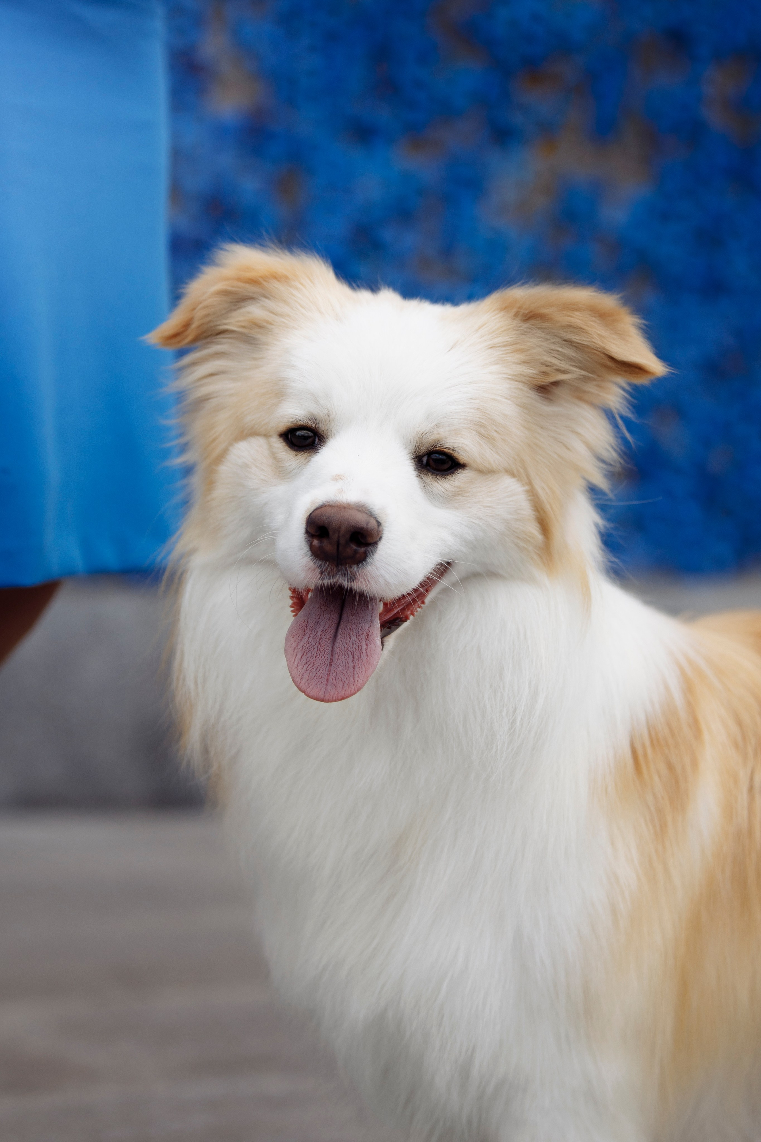 Магнитка 22. О нас