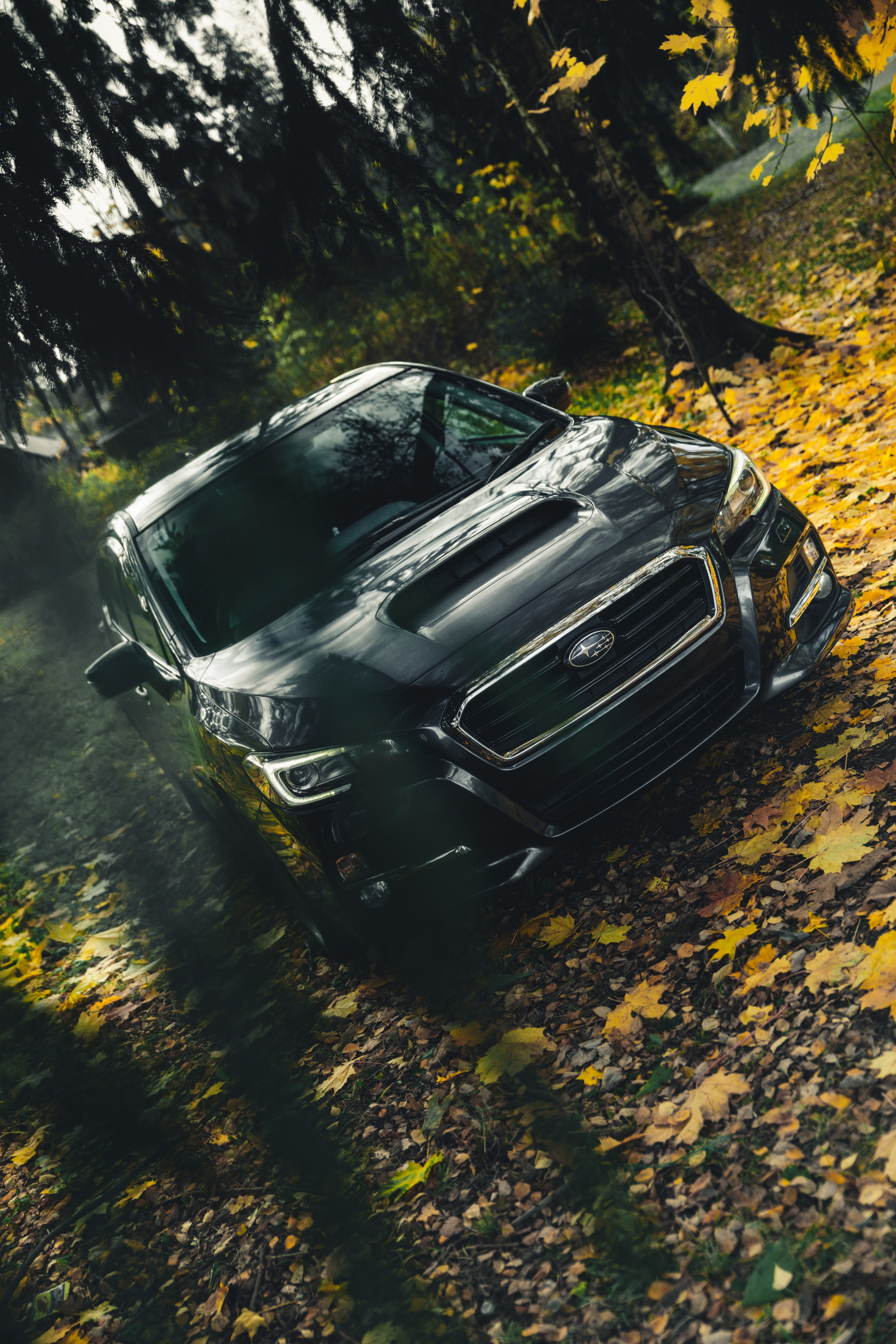 SUBARU LEVORG. Opasnophoto.com