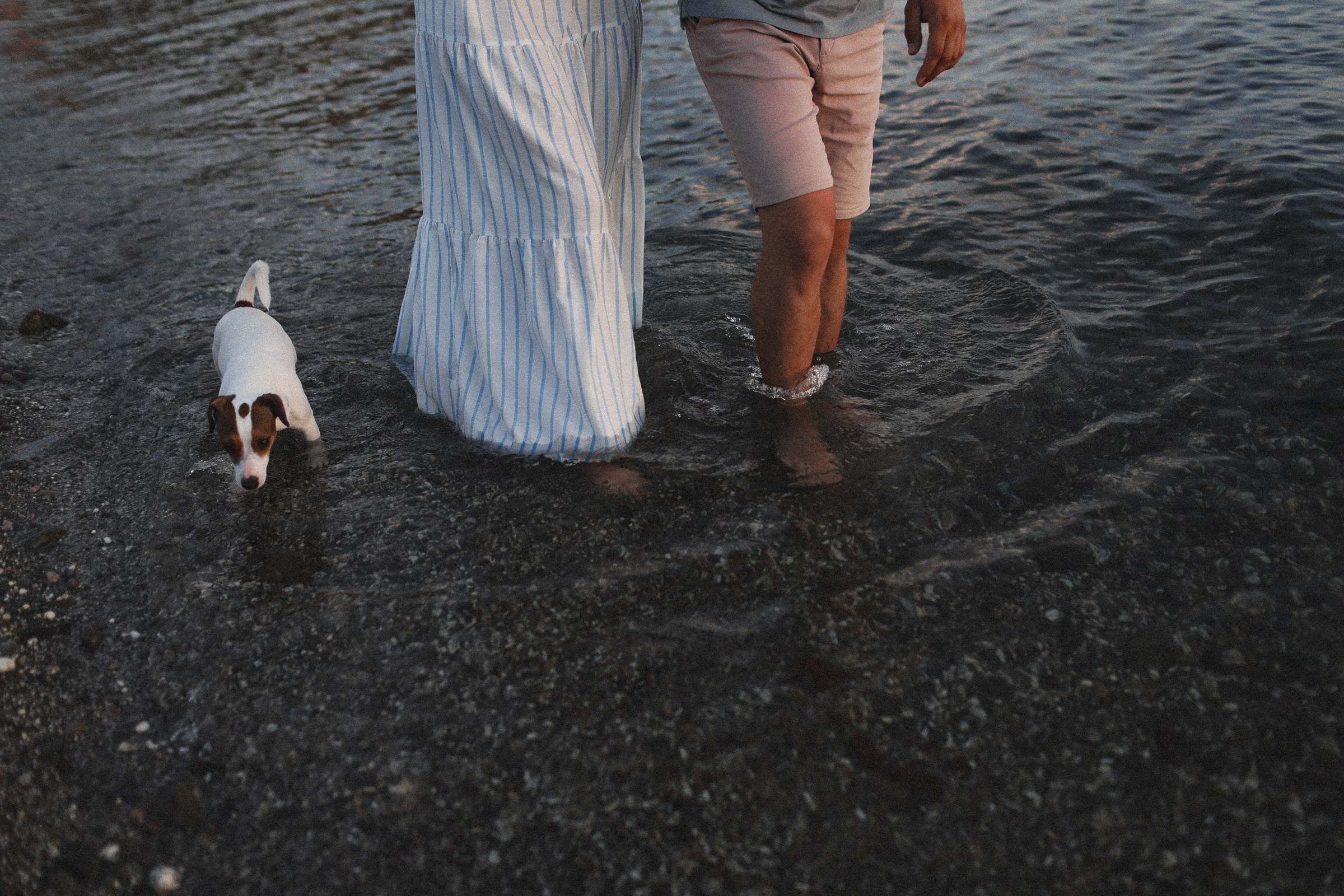 В твоих руках. Семейный фотограф в Москве Алевтина Носова
