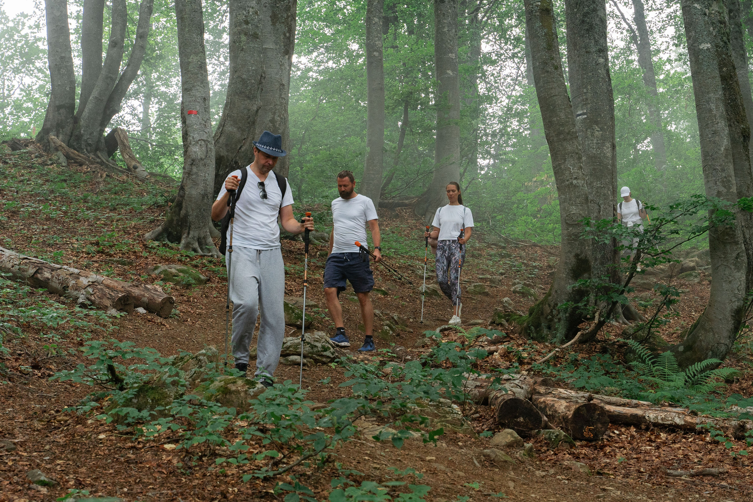 Психологический тренинг на озере Зеркальное. Репортажный фотограф в Красной Поляне и Сочи Павлюченко Екатерина