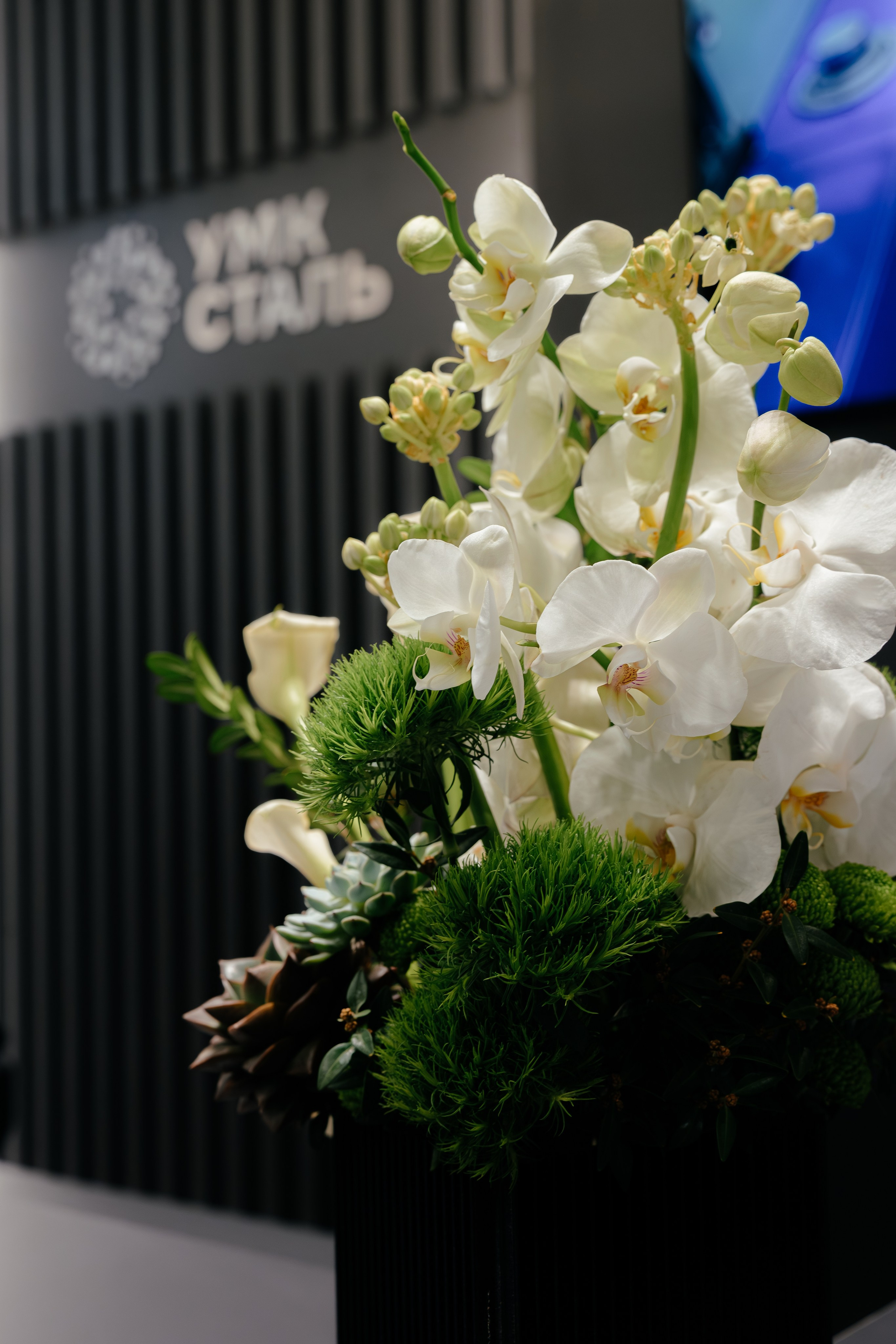 Съемка стенда. Коммерческий фотограф в Санкт-Петербурге Анна Кобзарь