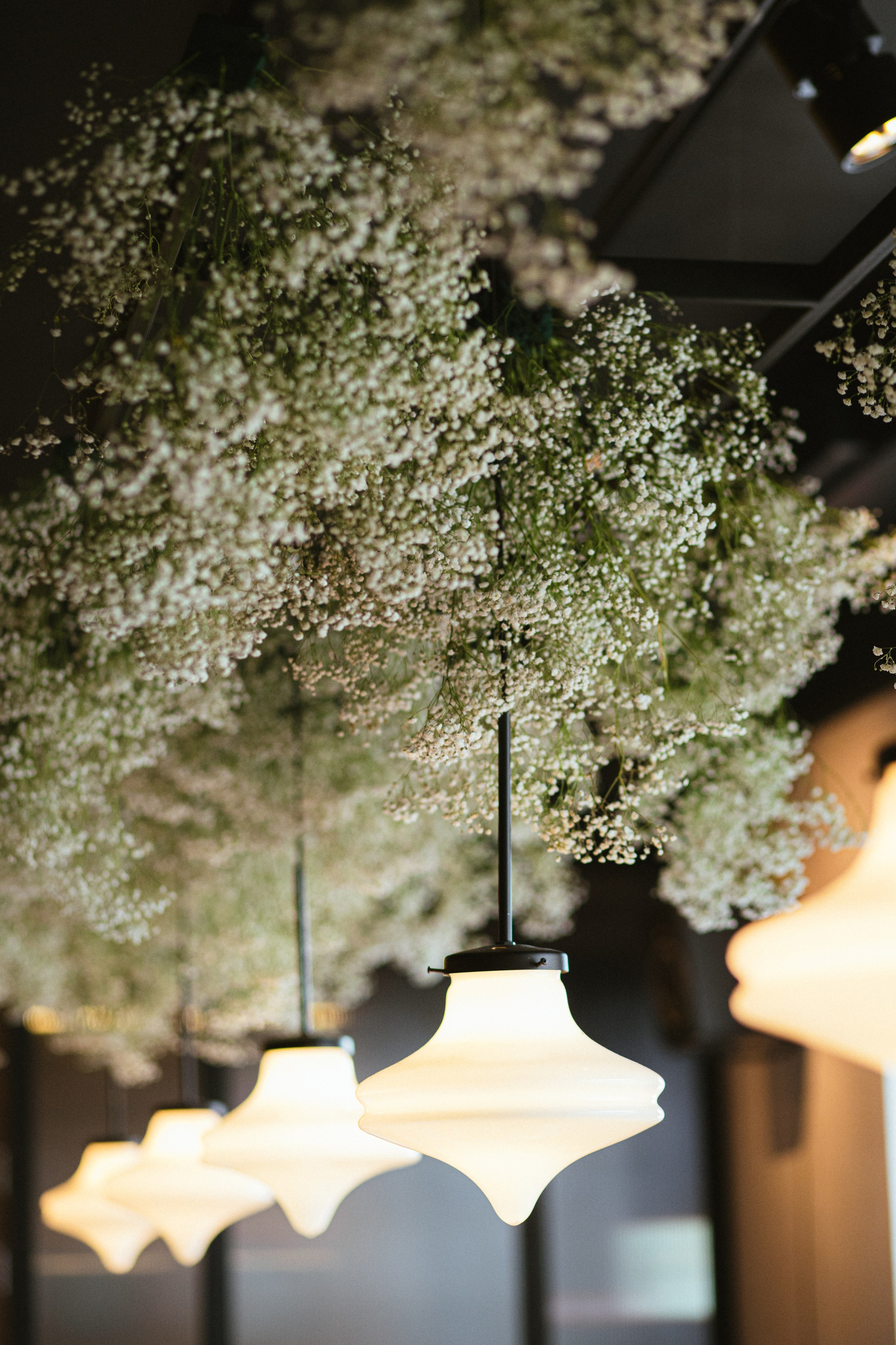 Вероника и Сережа. Свадебный фотограф Санкт-Петербург Питер Сальникова Анна