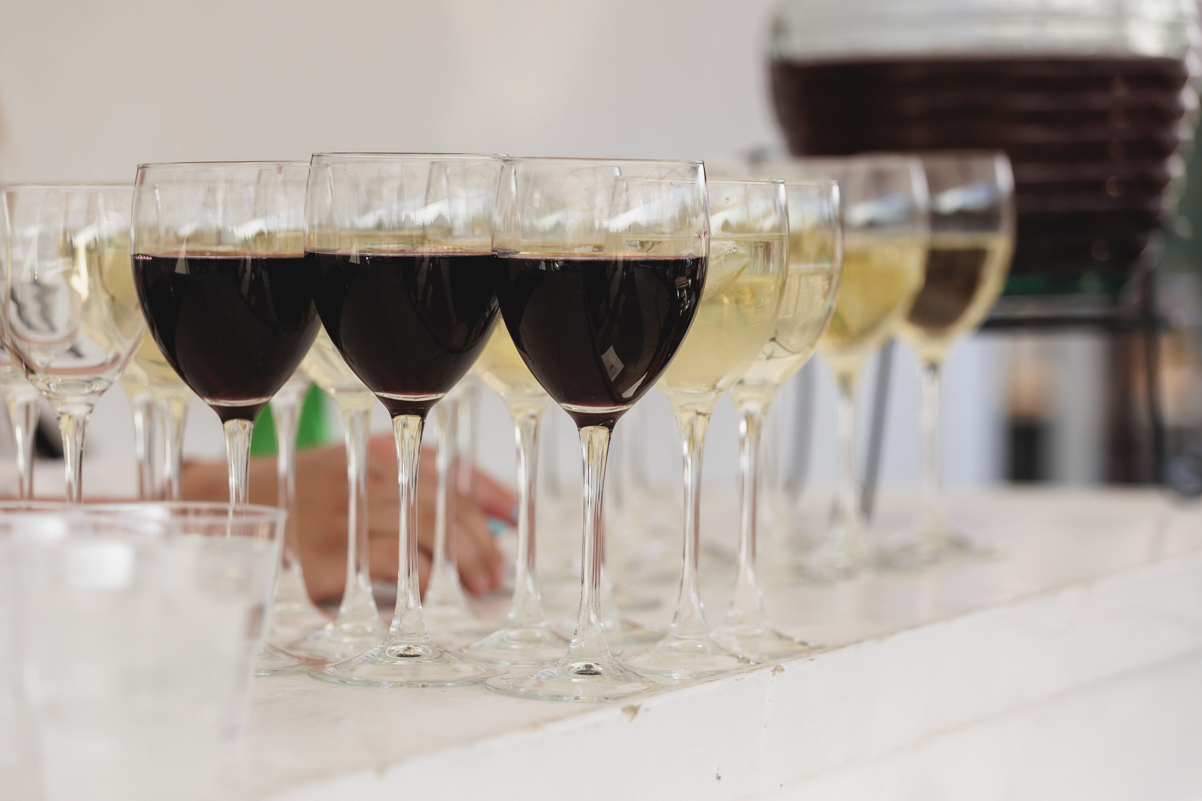 Тимбилдинг компании ПКБ. Фотограф в Волгограде — Александра Искандерова