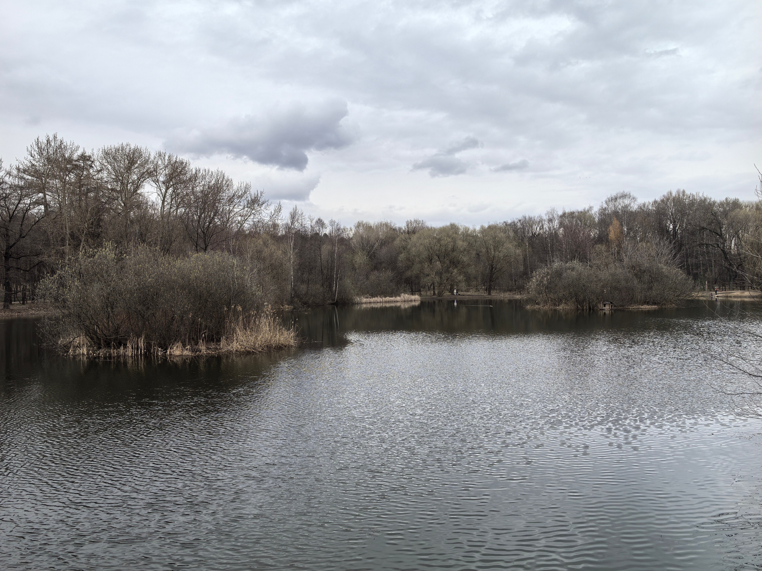 Покровско-Стрешнево. Школьные выпускные альбомы в Москве Марина Николаева