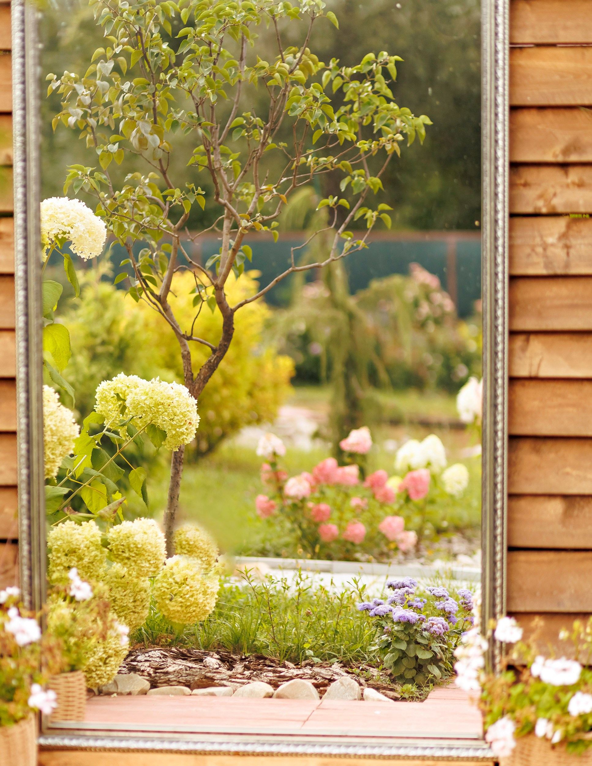 Парк-заповедник Купидон. Семейный фотограф в Димитровграде Елена Патрушева