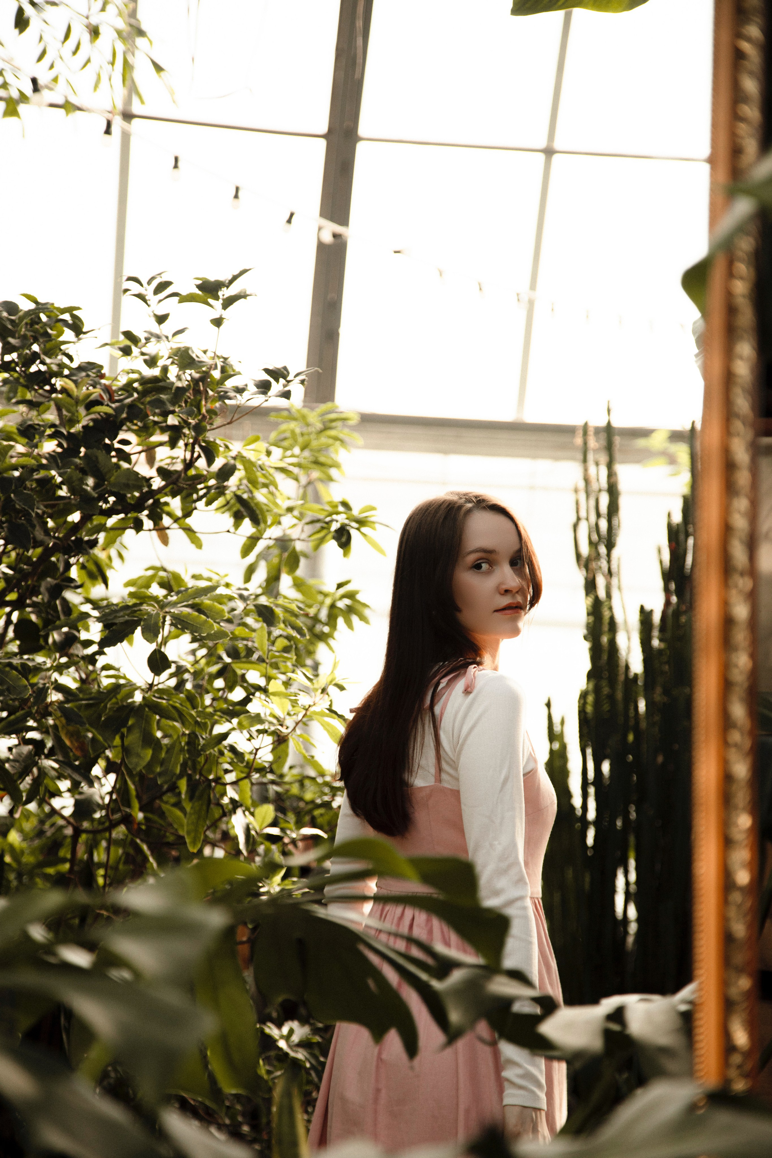 Оранжерея Таврического сада