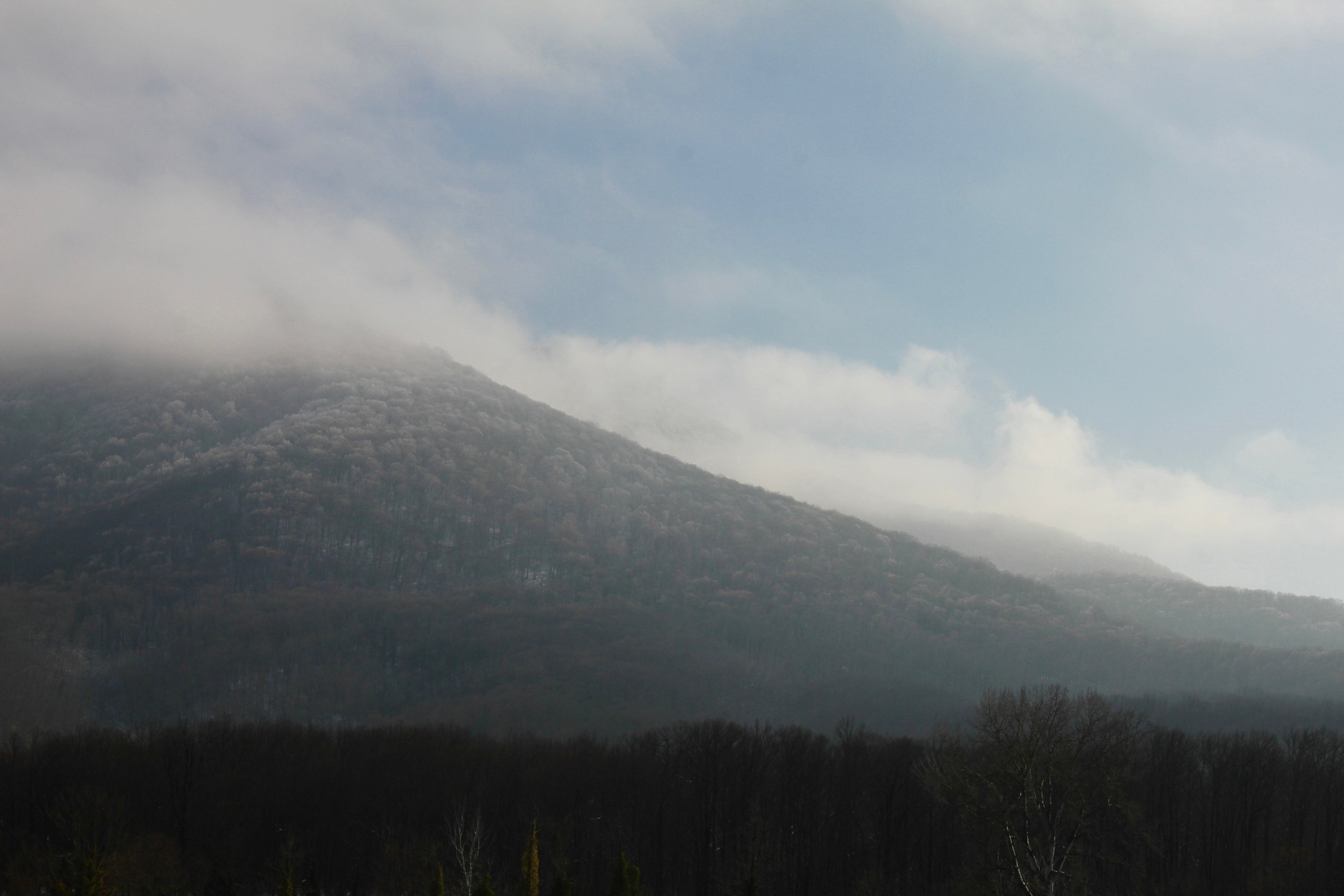 Горная вершина Скала Большая. Краснодарский край, Туапсинский муниципальный округ, Джубгское городское поселение 2026