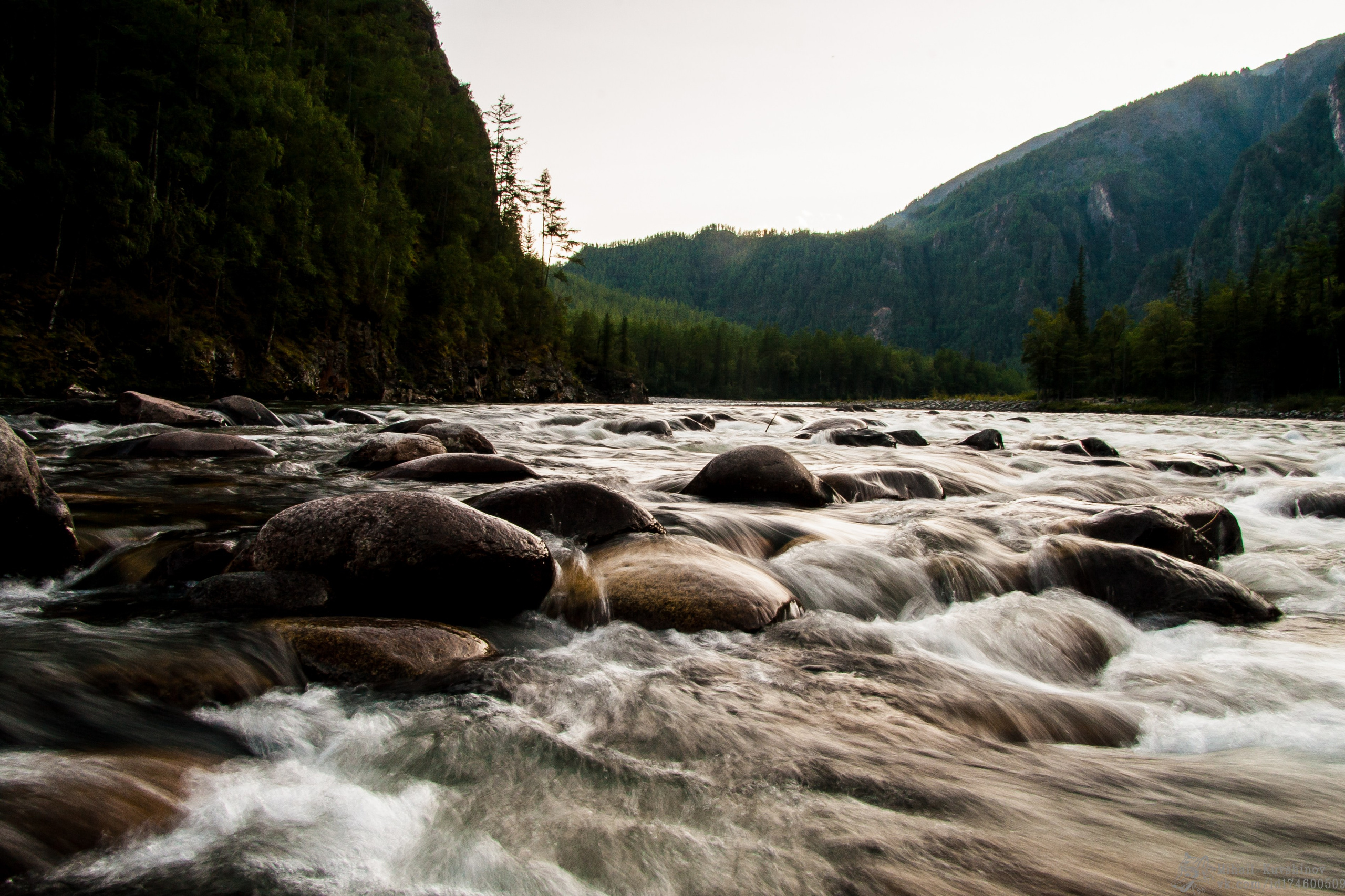 Природа. Главная