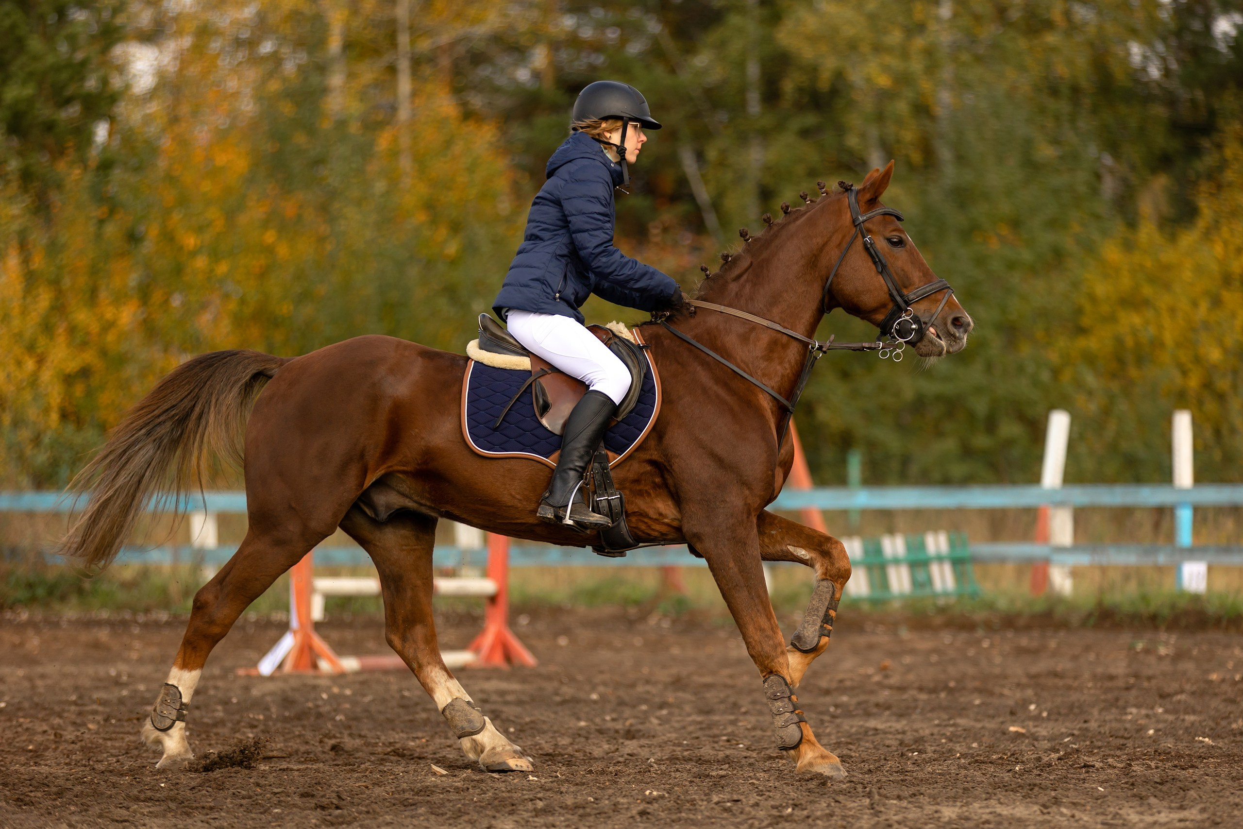 Соревнования по конному спорту. Конный фотограф Валынкина Лера