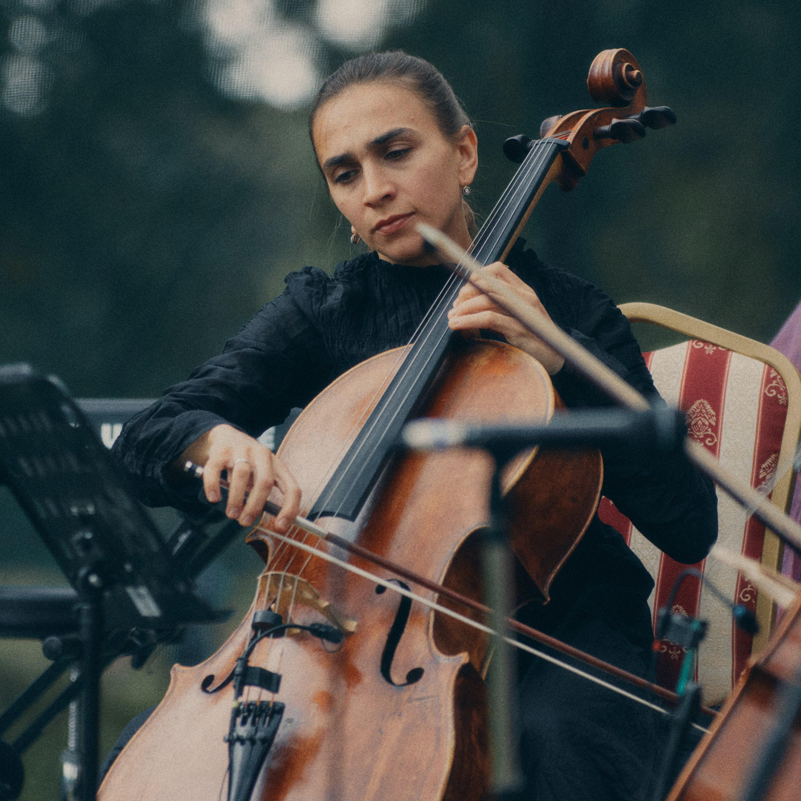 Музыкальная экспедиция в Знаменское-раёк 2025