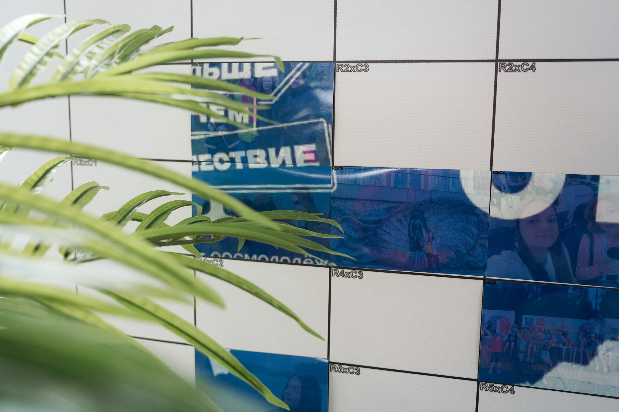 День молодежи