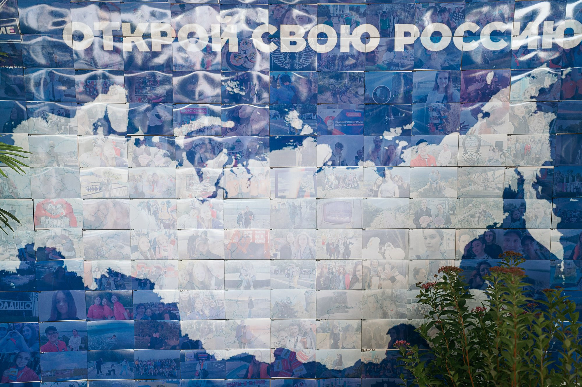 День молодежи