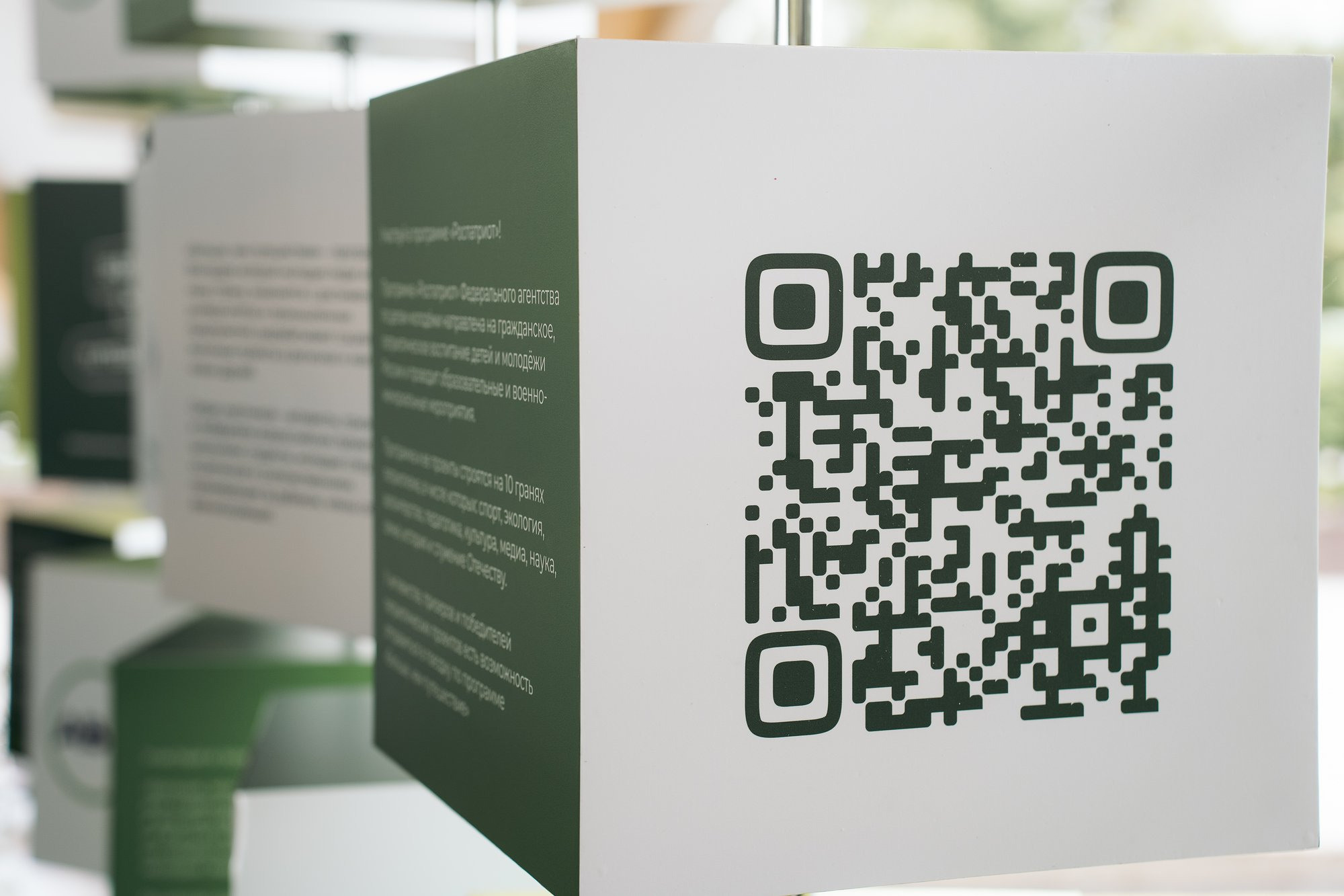 День молодежи