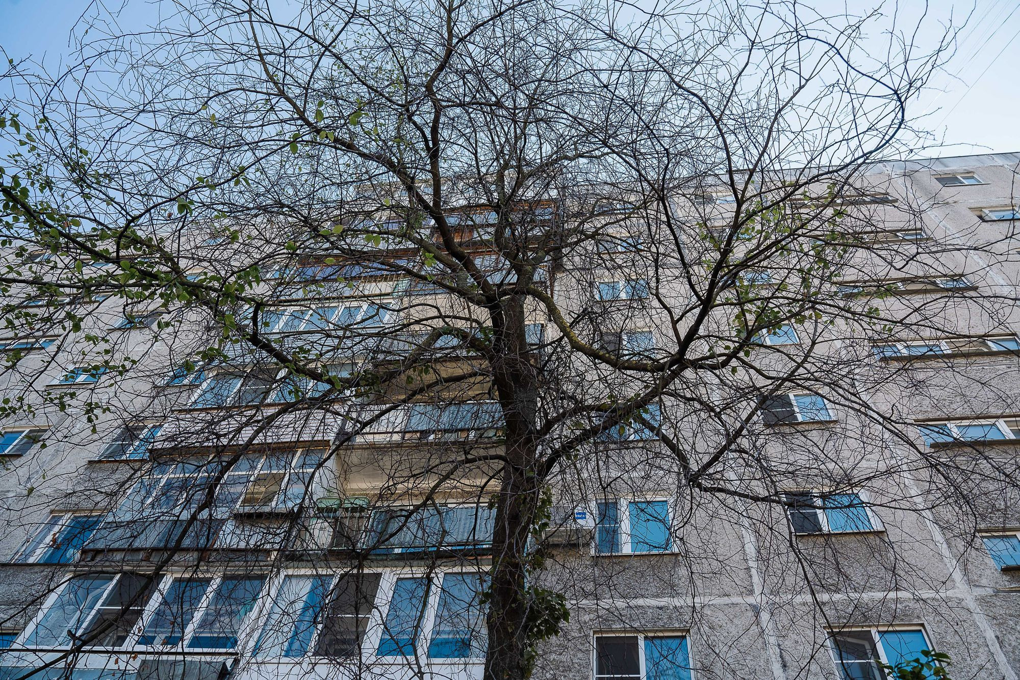 Социальный участковый