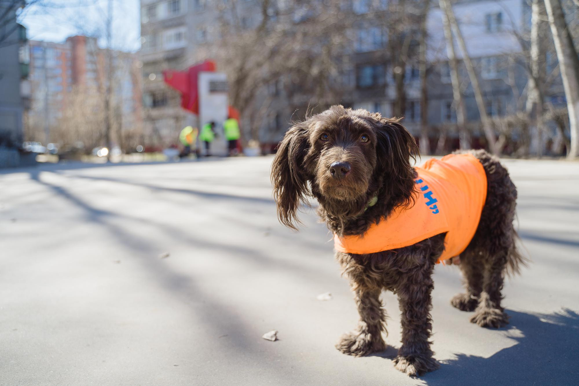 Социальный участковый