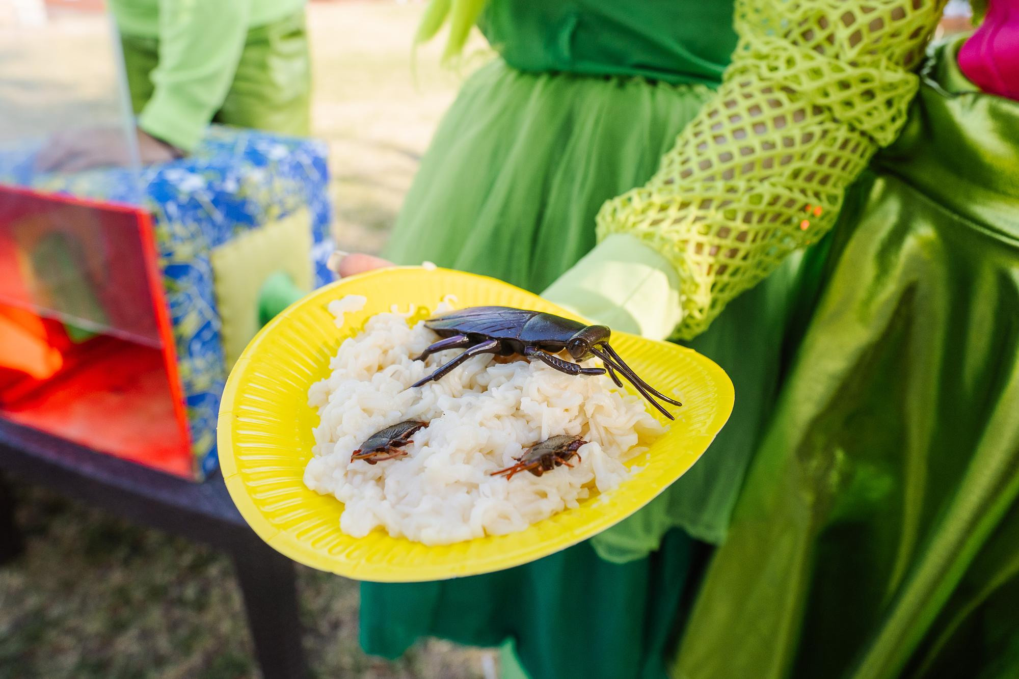 День рождения Роберта 5 лет