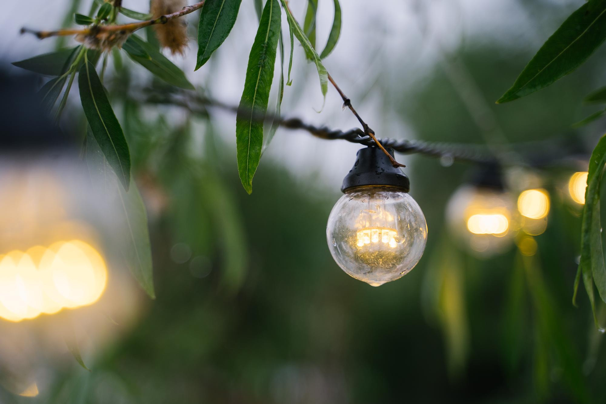 Яхт клуб «Сила ветра»