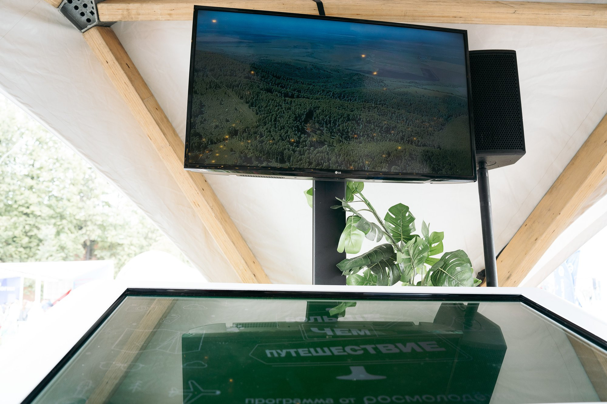 День молодежи