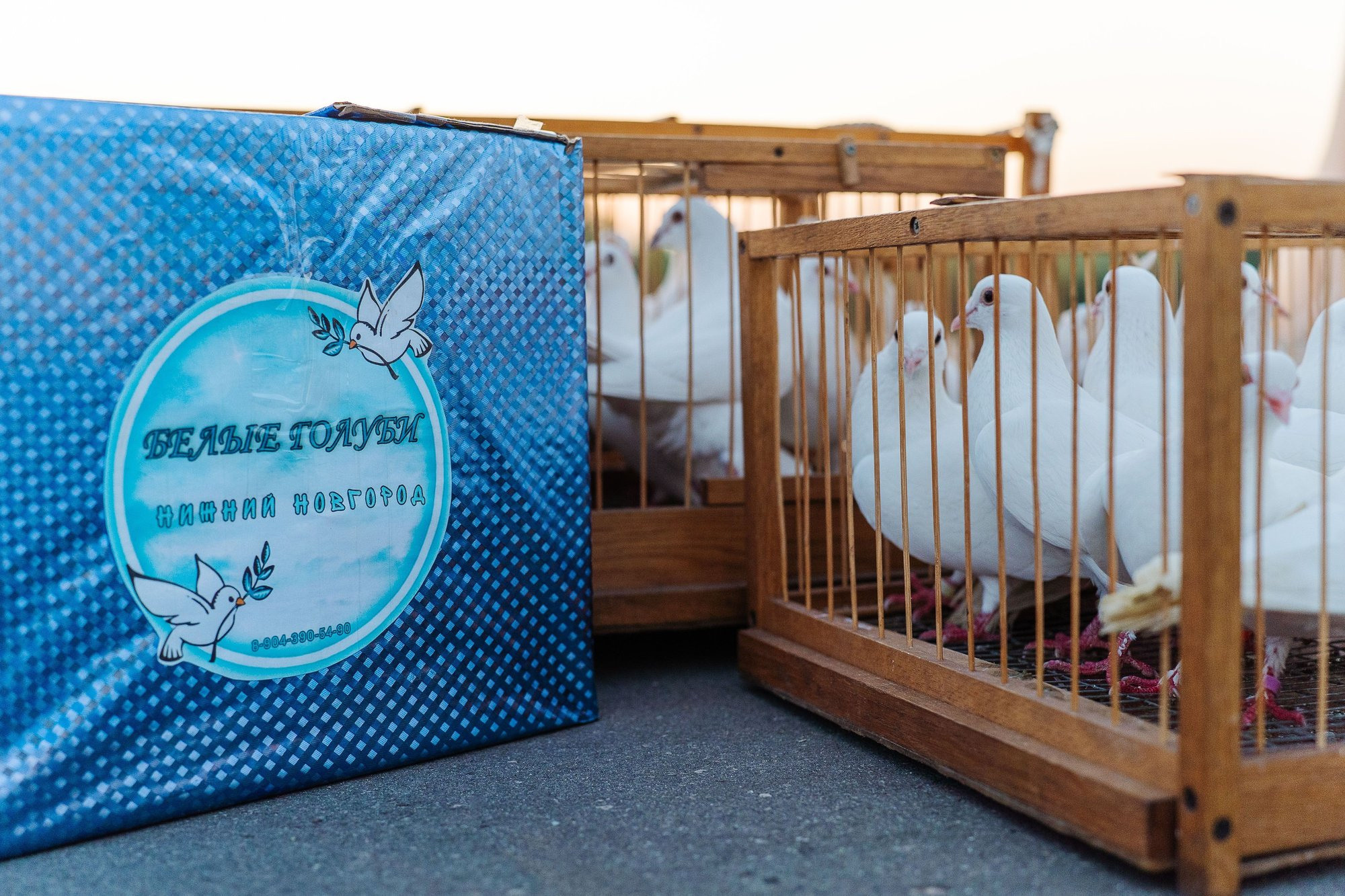 Выпускной Гимназия 2