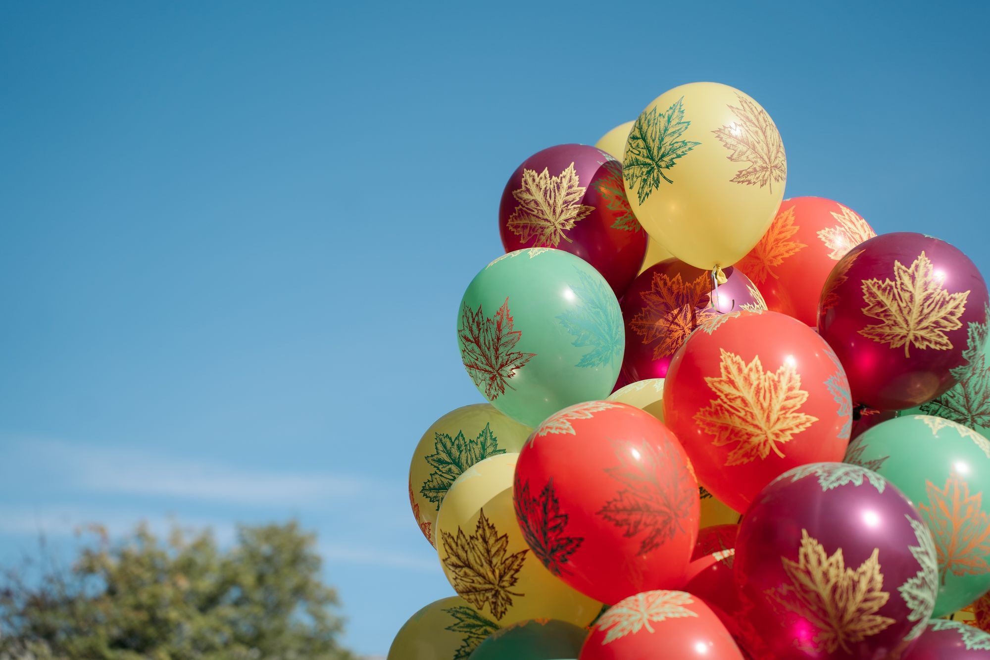 20230901 школа 49 класс 1д