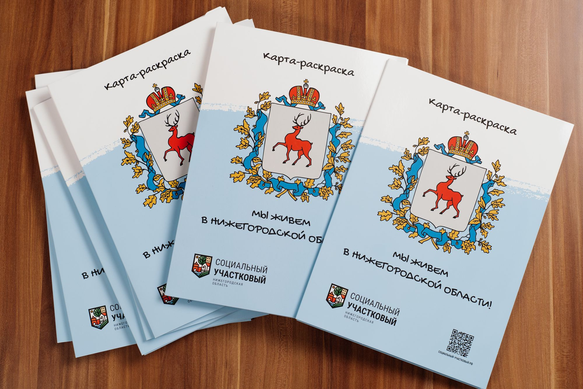 Мерчандайз социальный участковый