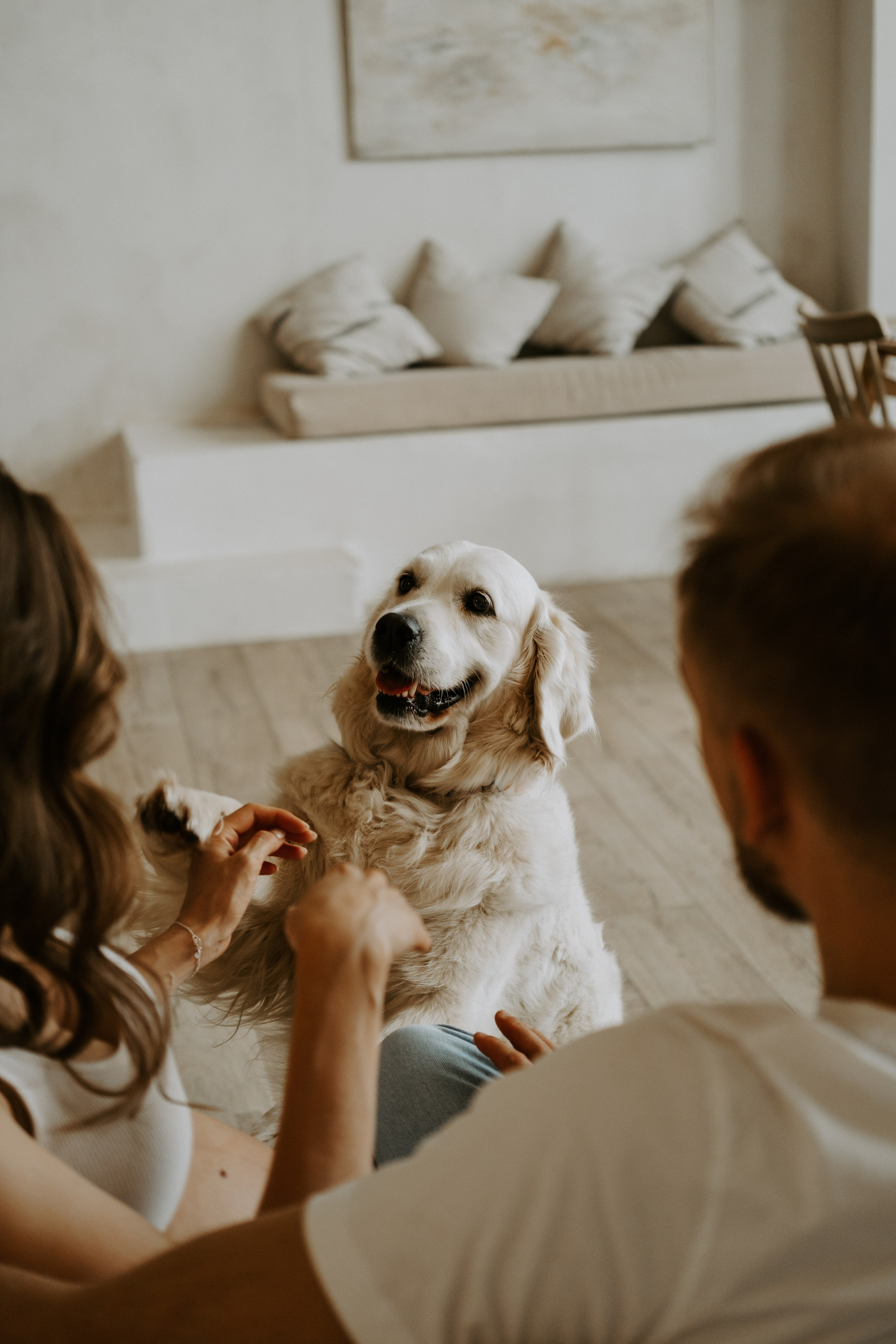 Фотосессия беременности с собакой. Семейный фотограф в Москве Кристина Маркос