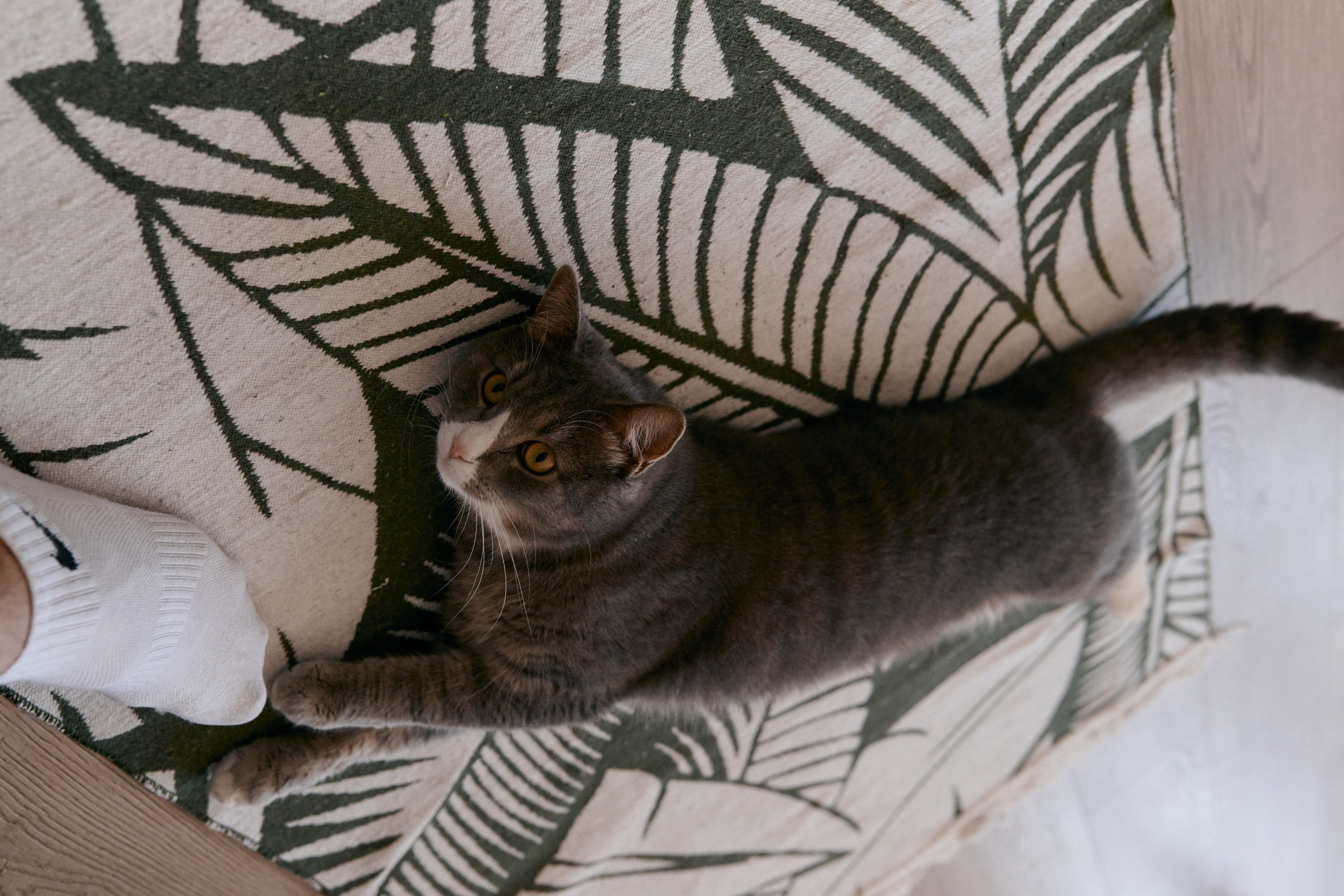 Фотоистория одной пиццы. Сергей Богомолов. Свадебный и семейный фотограф