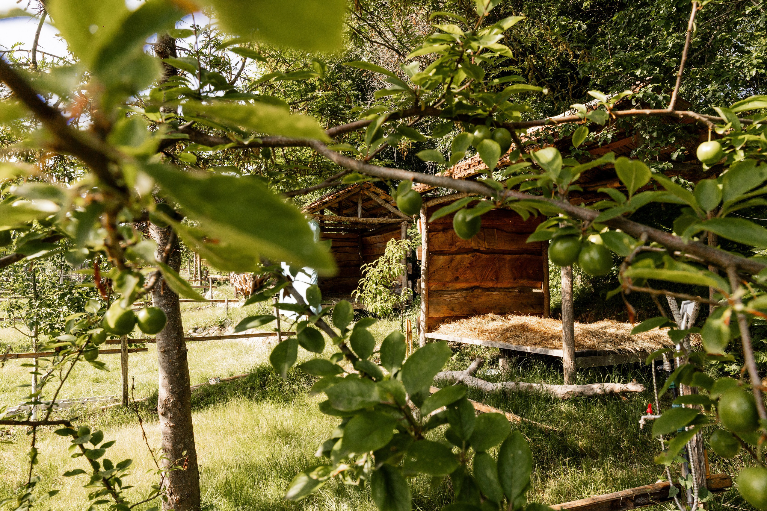 АМБАРА | МЮССЕРА. Семейный фотограф на крещение и венчание