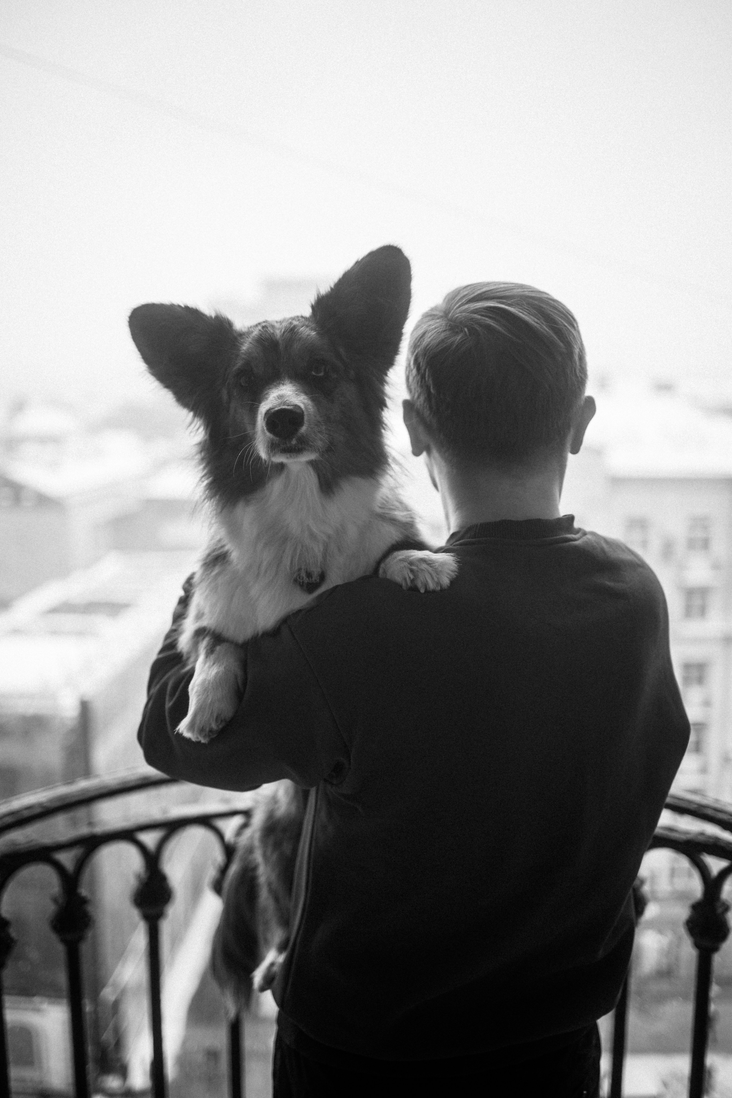 Вероника, Илья и Фаня. Фотораф — анималист Мария Шистка