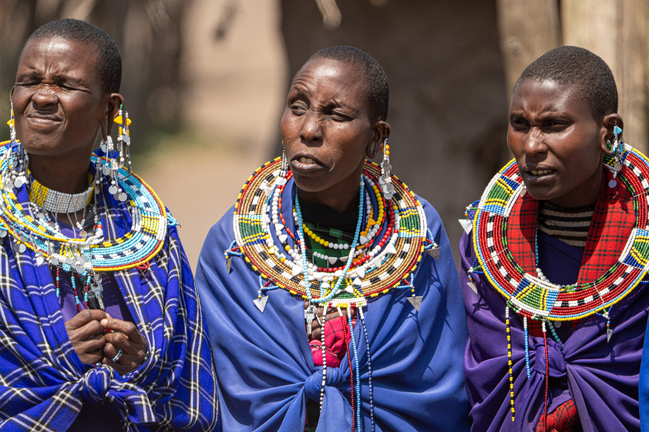 Танзания, сафари, 2025. Творческие сьемки