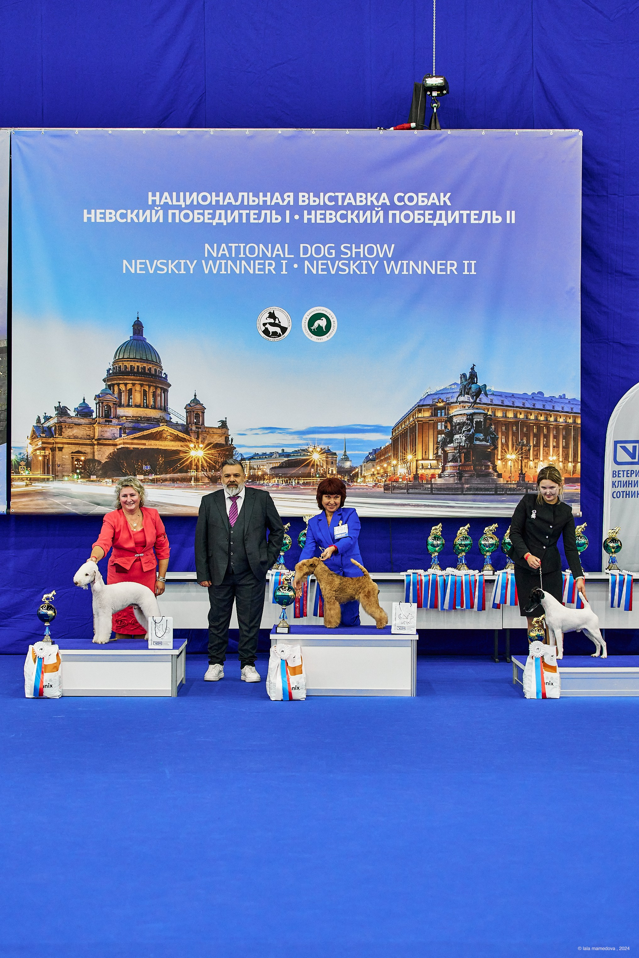 РЕЙТИНГОВАЯ ВЫСТАВКА СОБАК ВСЕХ ПОРОД С ОСОБЫМ СТАТУСОМ"НЕВСКИЙ ПОБЕДИТЕЛЬ-2024-2"