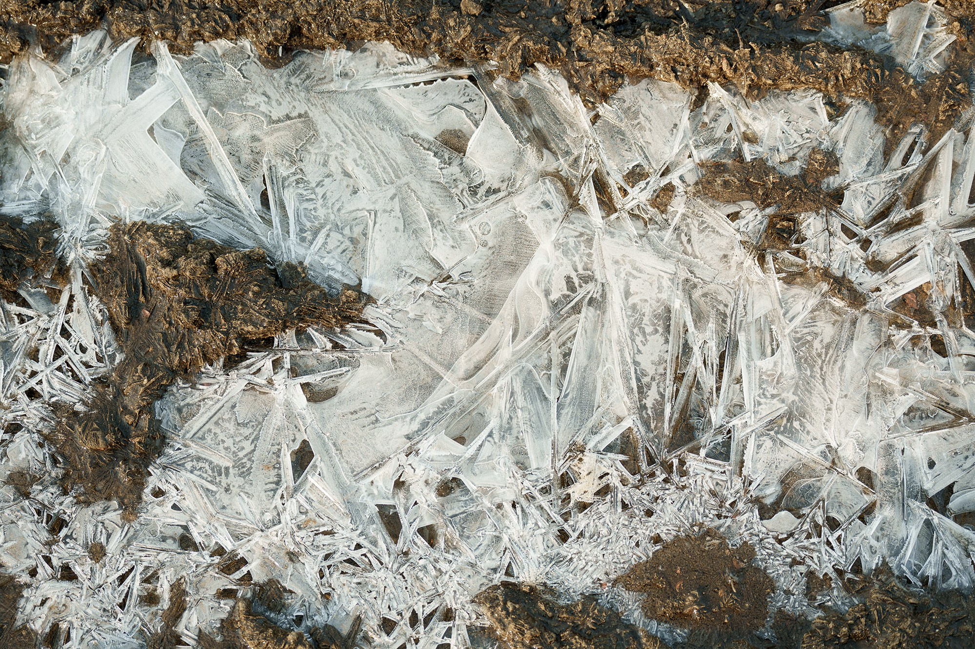 Природа. Ваш личный фотограф Марина Волкова